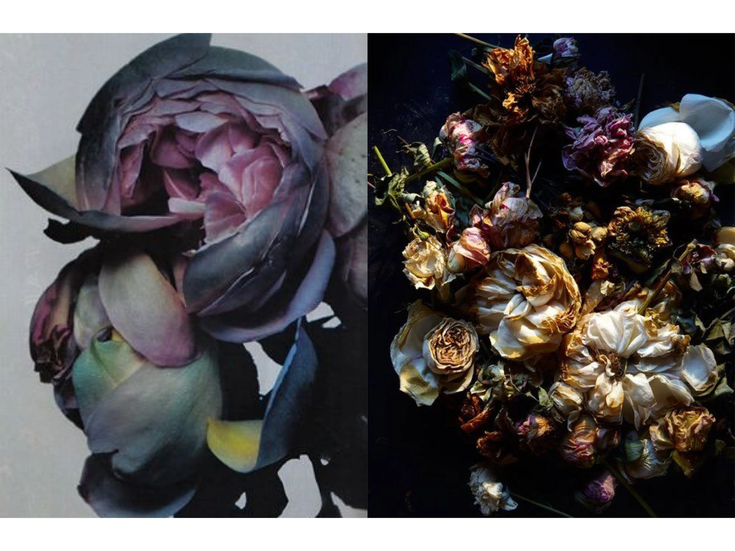 COLOR_RESEARCH26.jpg