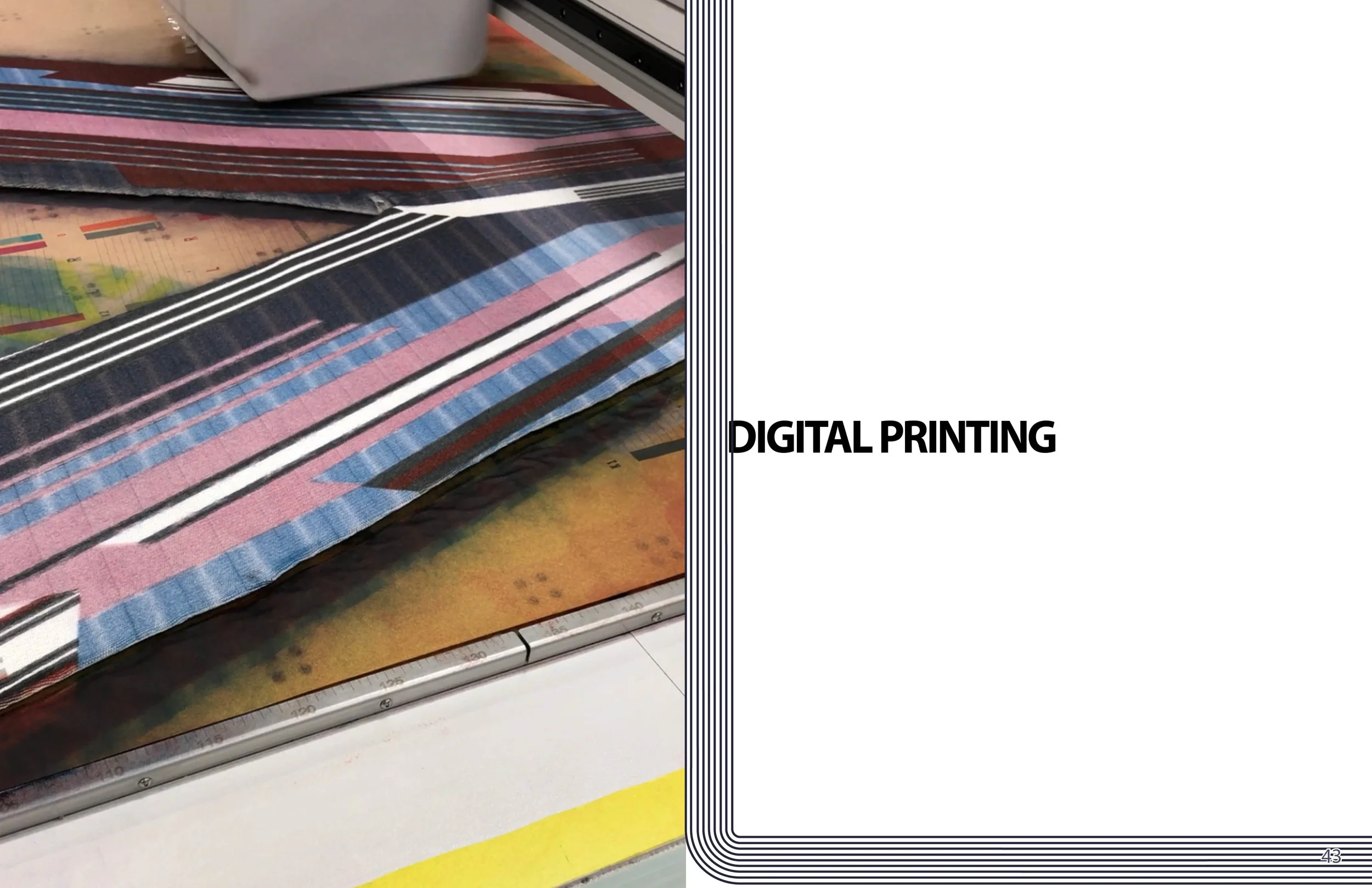 ElectricStripes_PB24.jpg