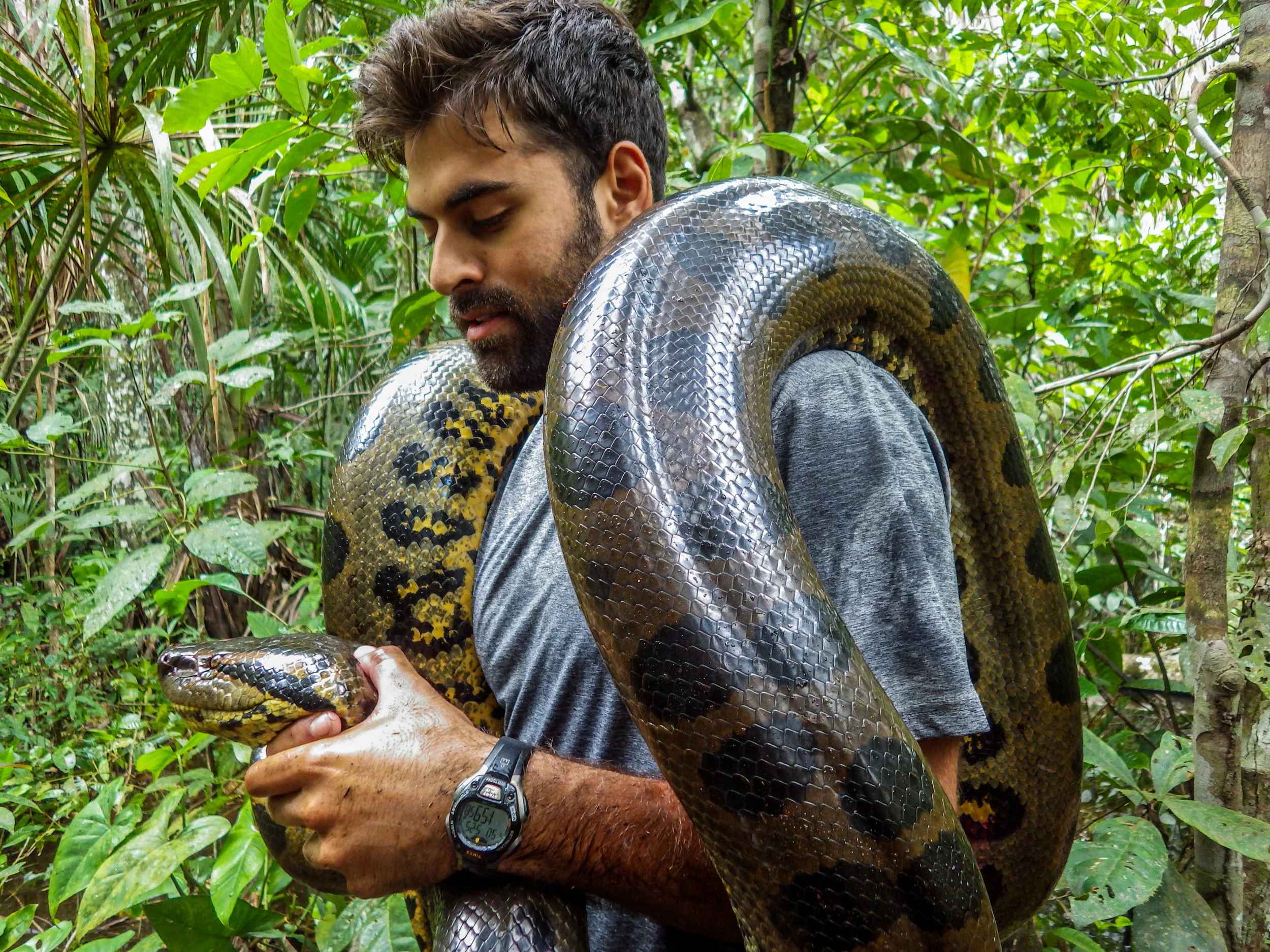 Mohsin and Anaconda.jpg