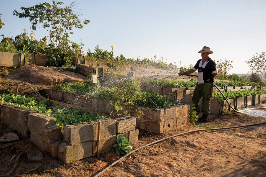 jarrybriefs_rumandrevolution_farm_kristopherkelly.jpg