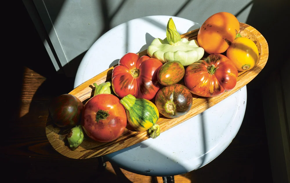 jarry06_elisekornack_annahieronimus_carahowe_produce.jpg