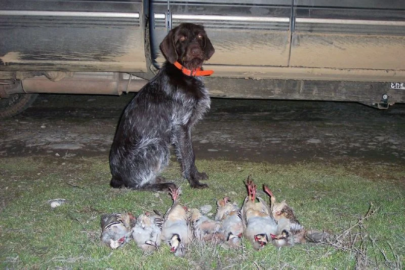 baskowithchukar.jpg
