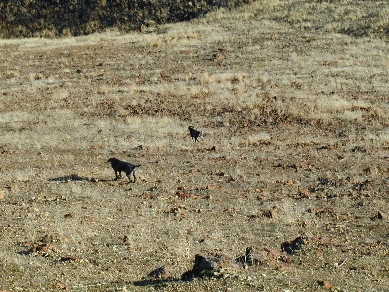 p1140033.jpg