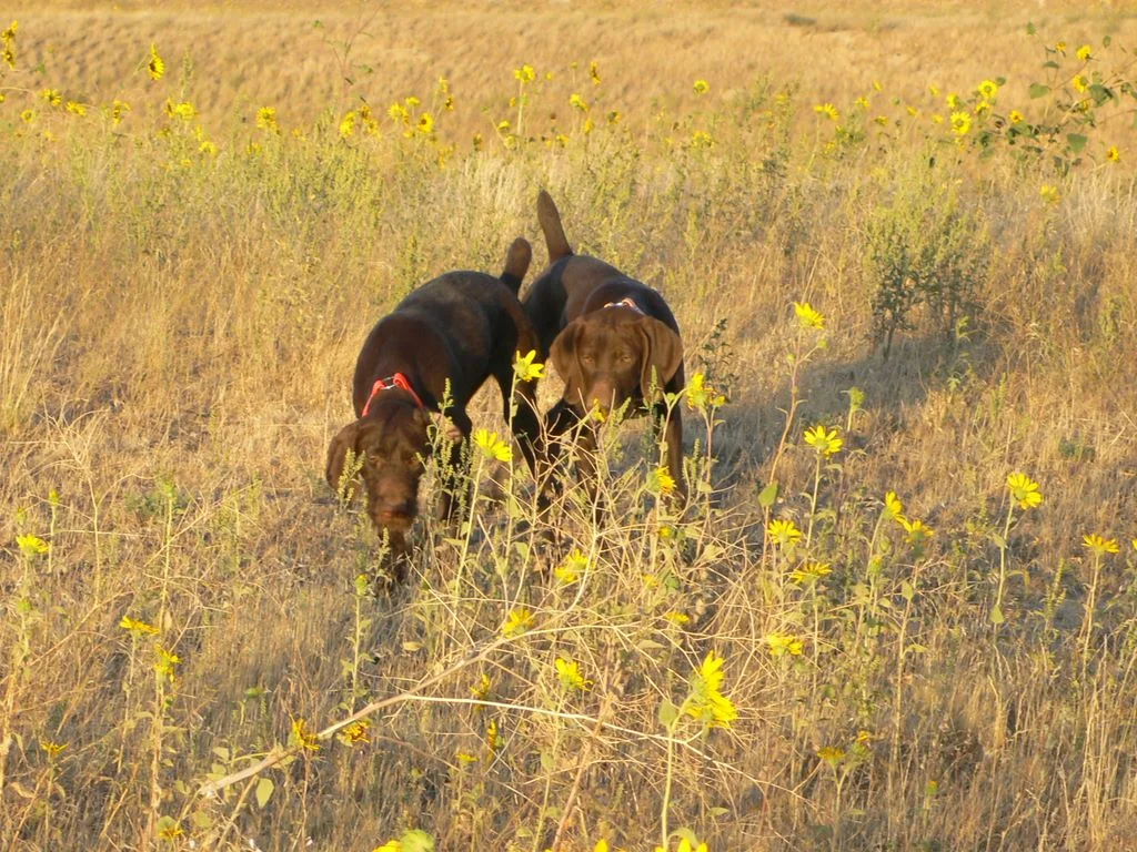 p1010182.jpg