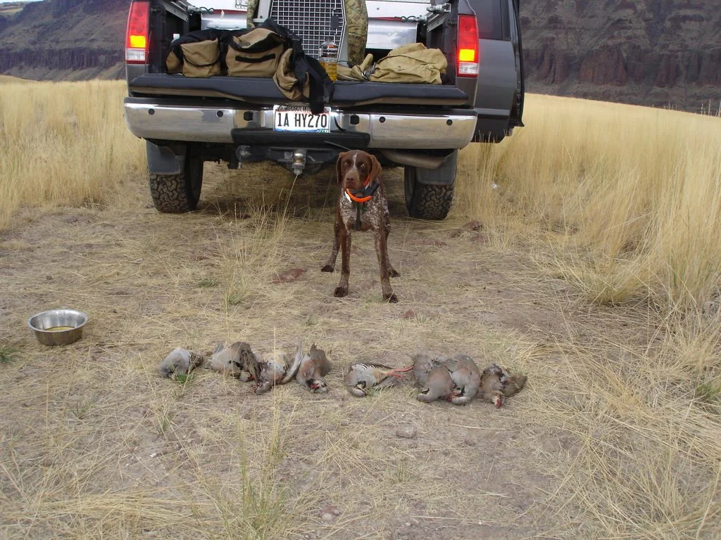 oct__chuker_hunt_001.jpg