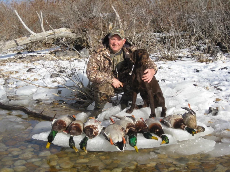 tilly_and_mike_and_ducks.jpg