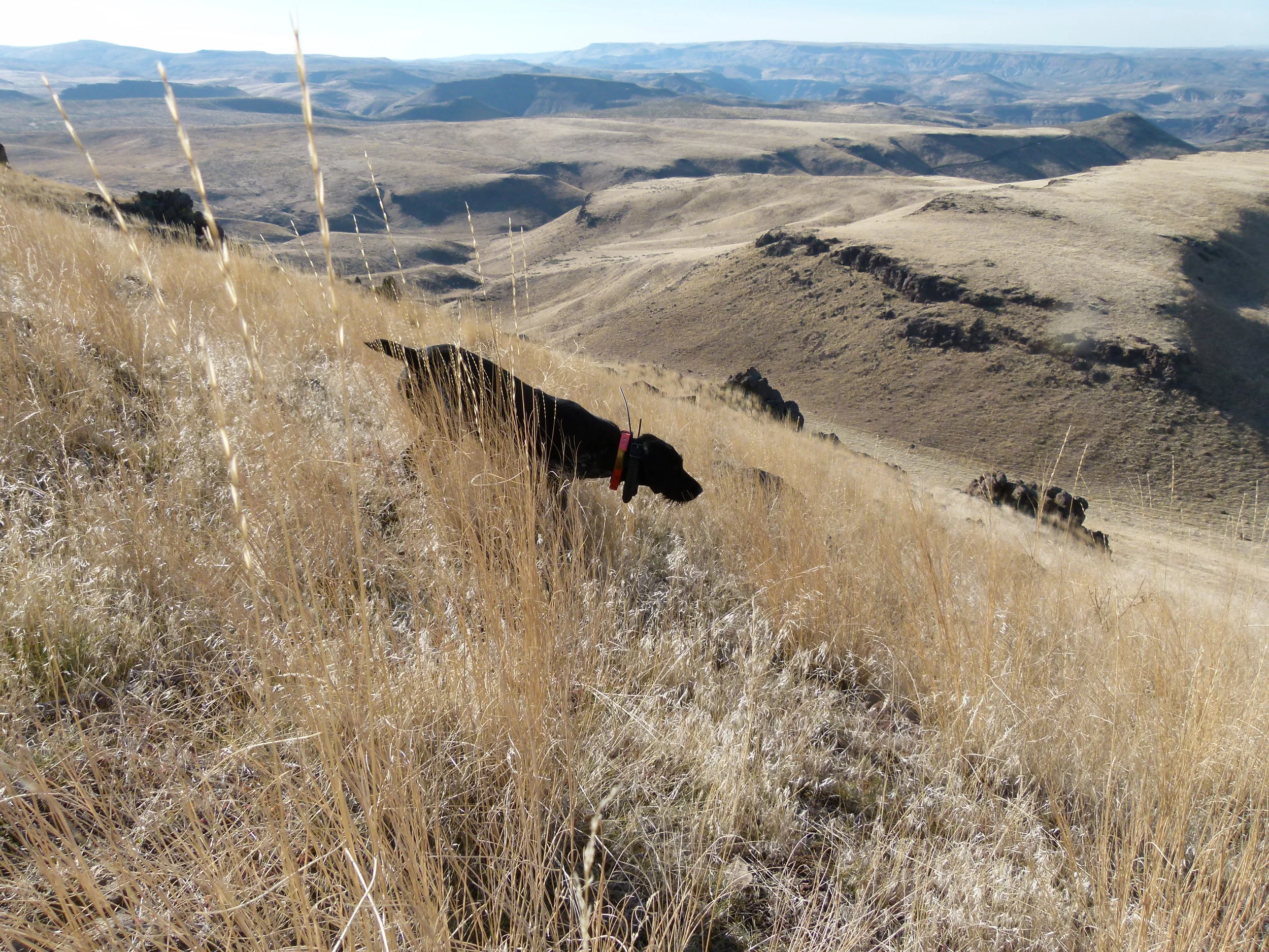 2011 Hunting Photos 013.JPG