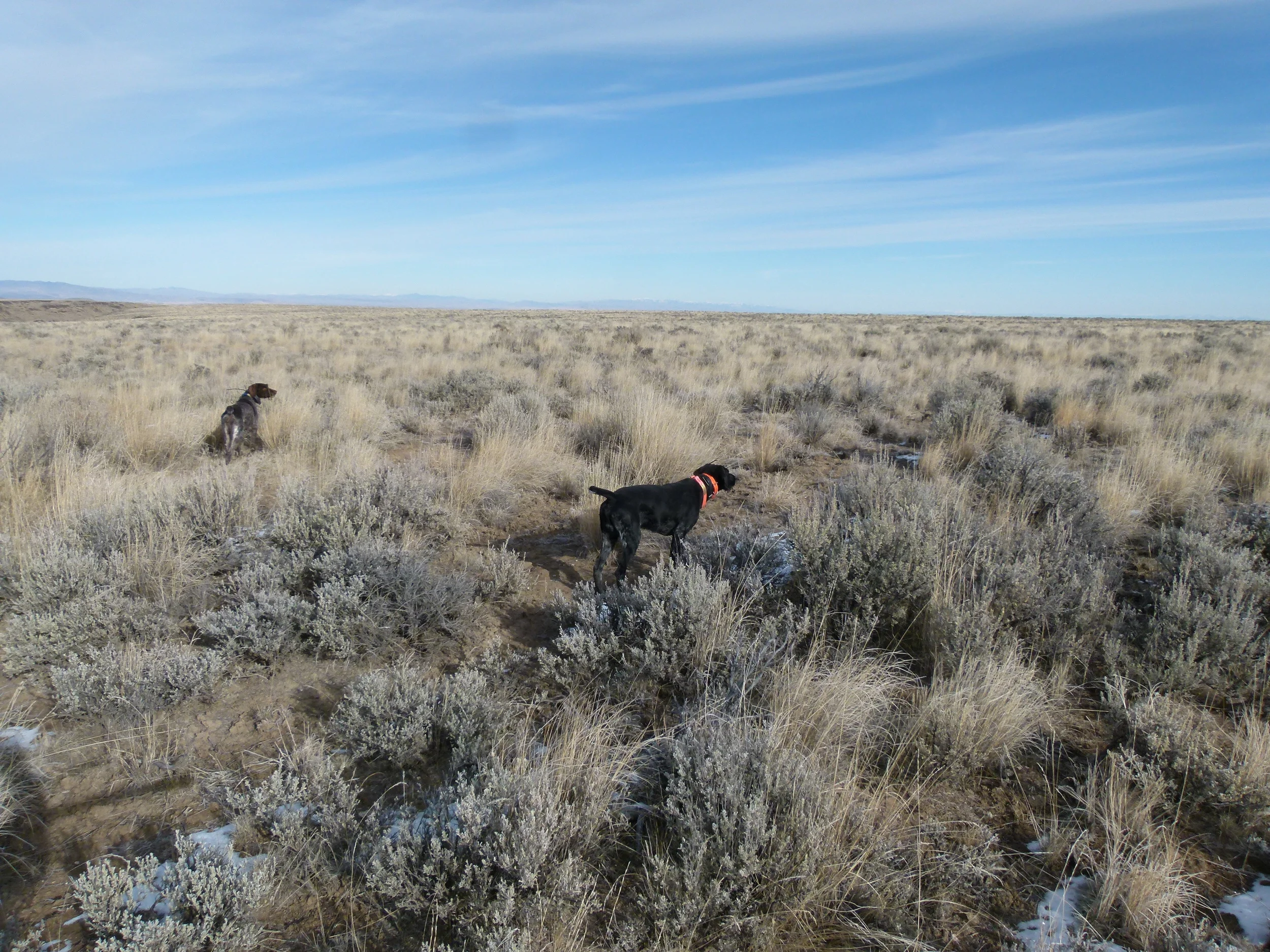 2011 Hunting Photos 015.JPG