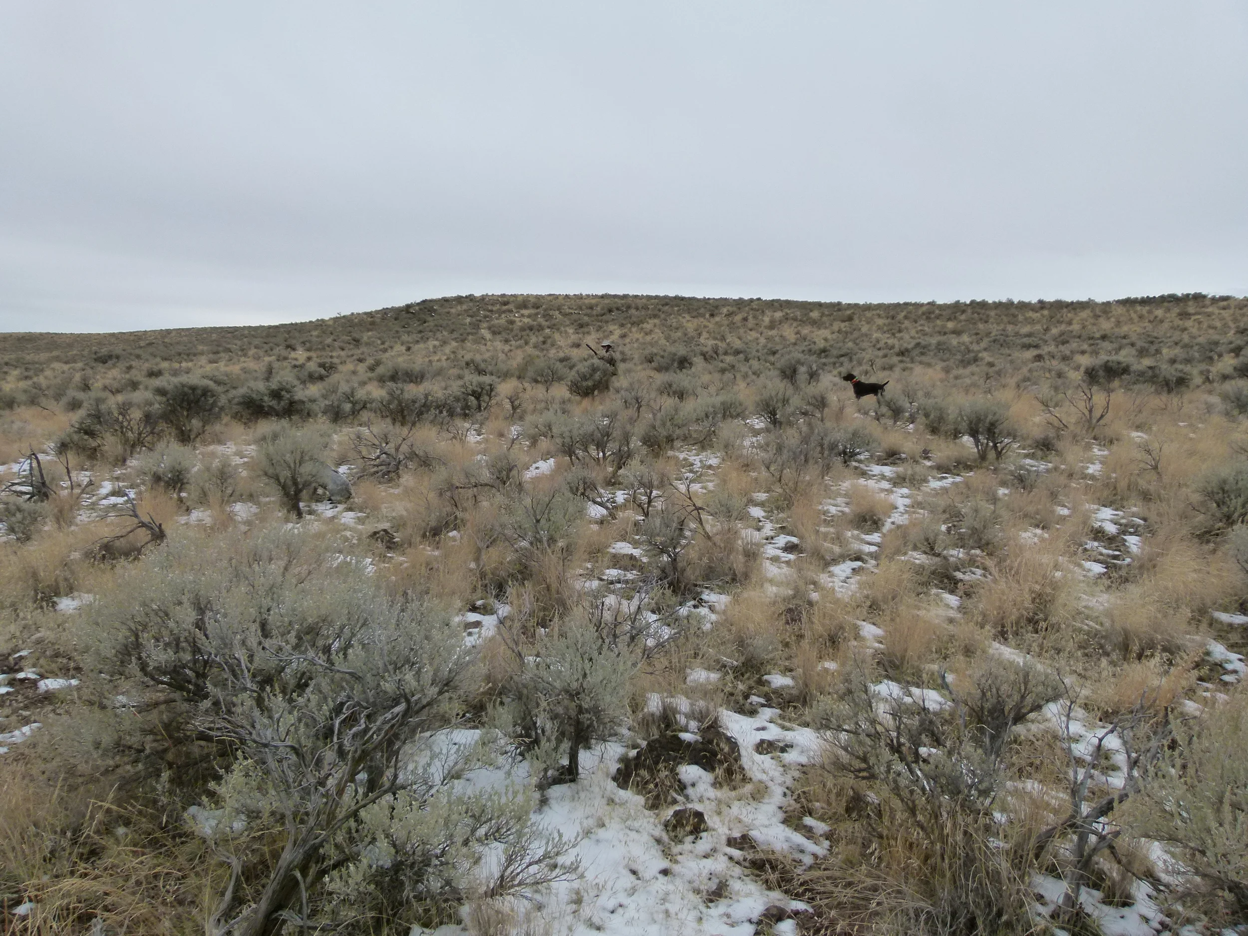 2011 Hunting Photos 022.JPG