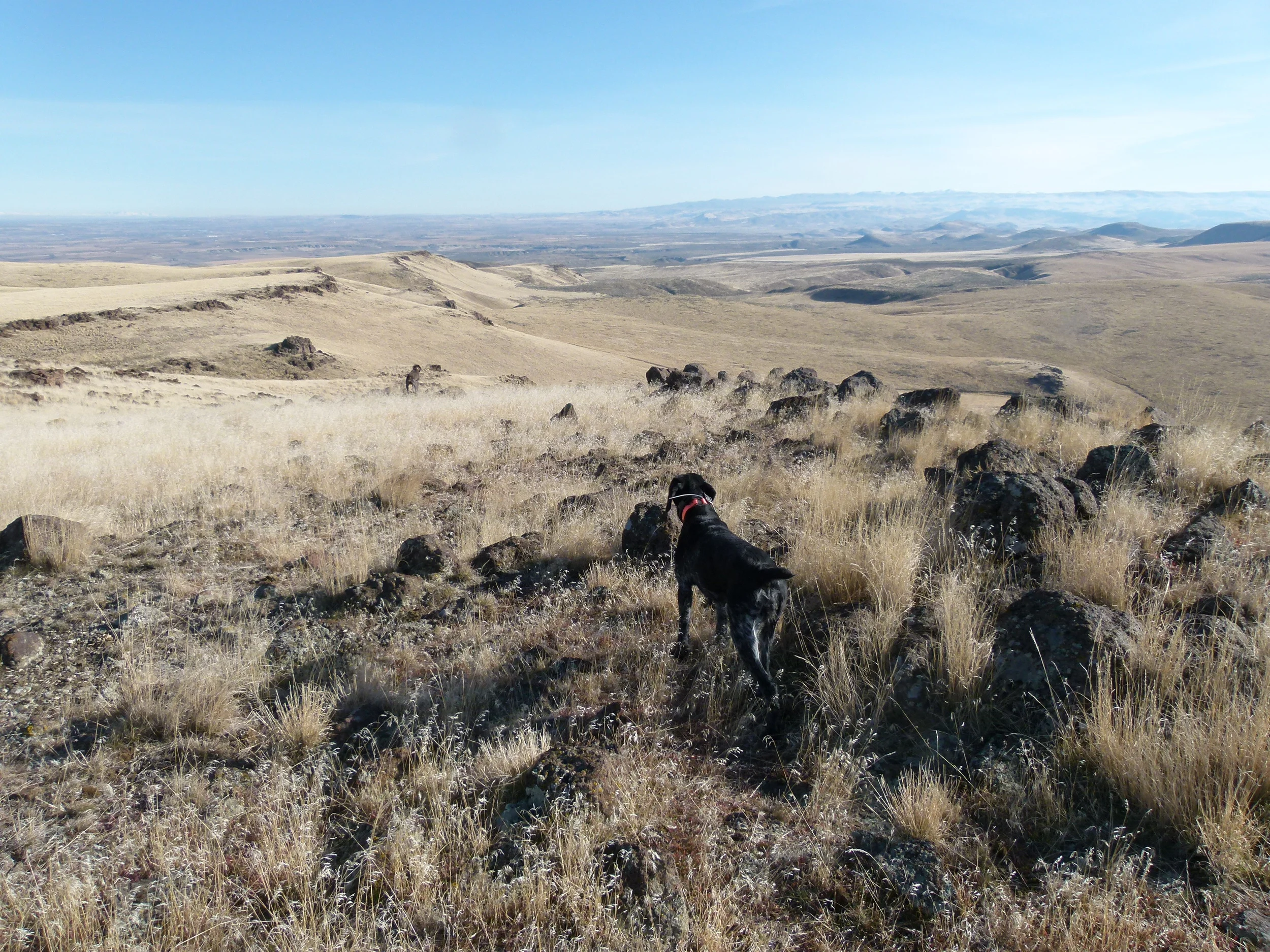 2011 Hunting Photos 021 (2).JPG