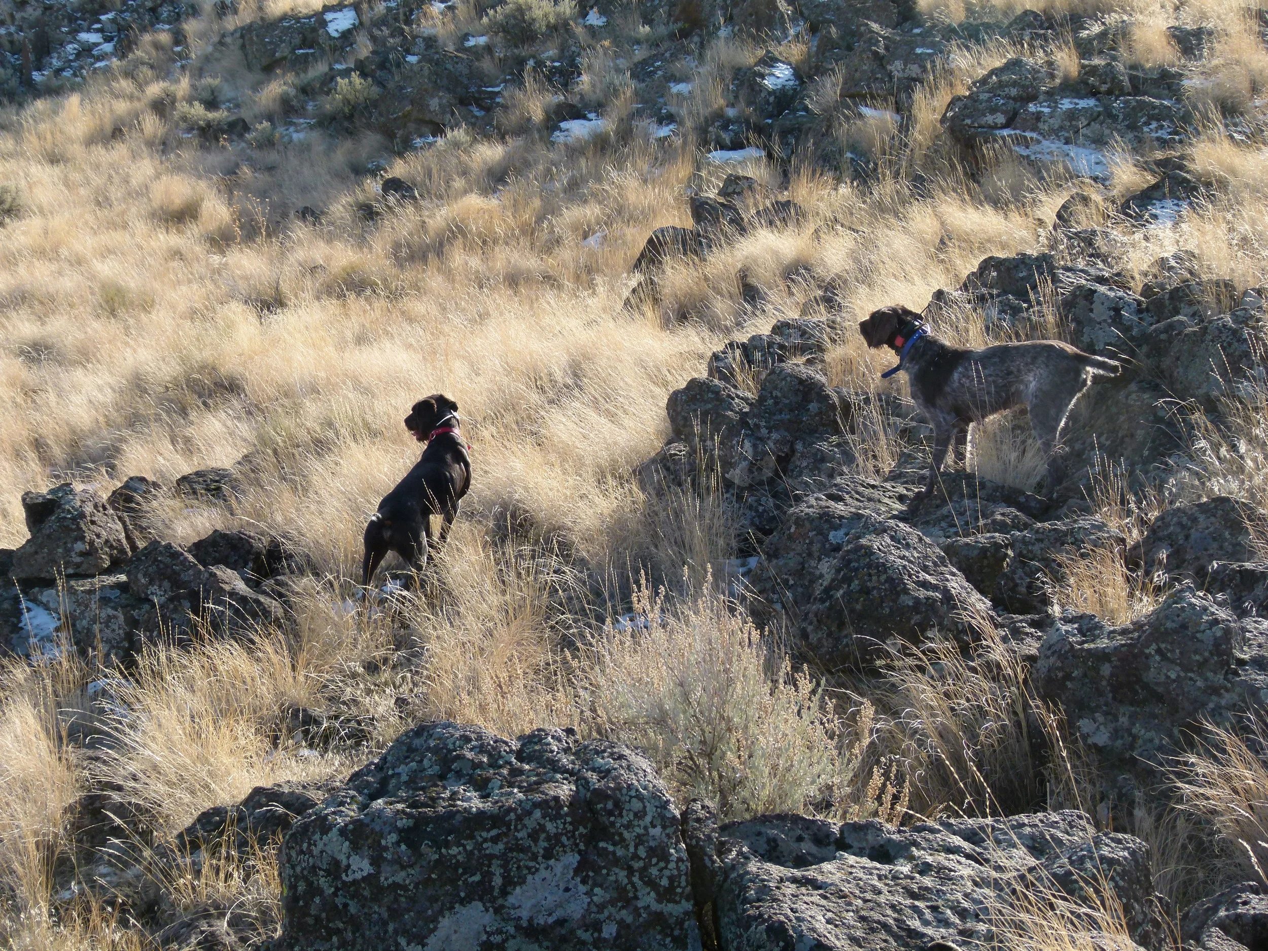 2011 Hunting Photos 029.JPG