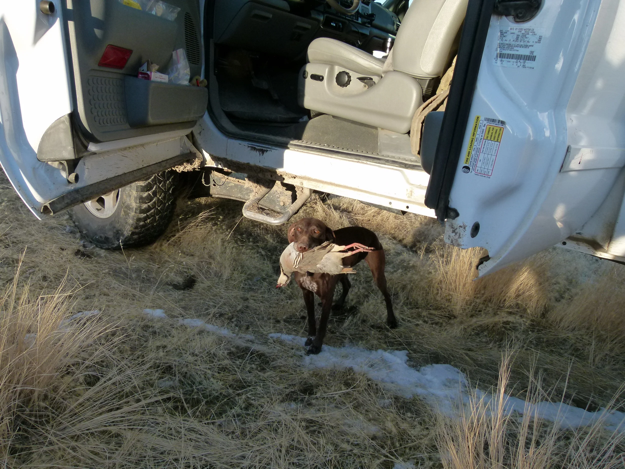 2011 Hunting Photos 045.JPG