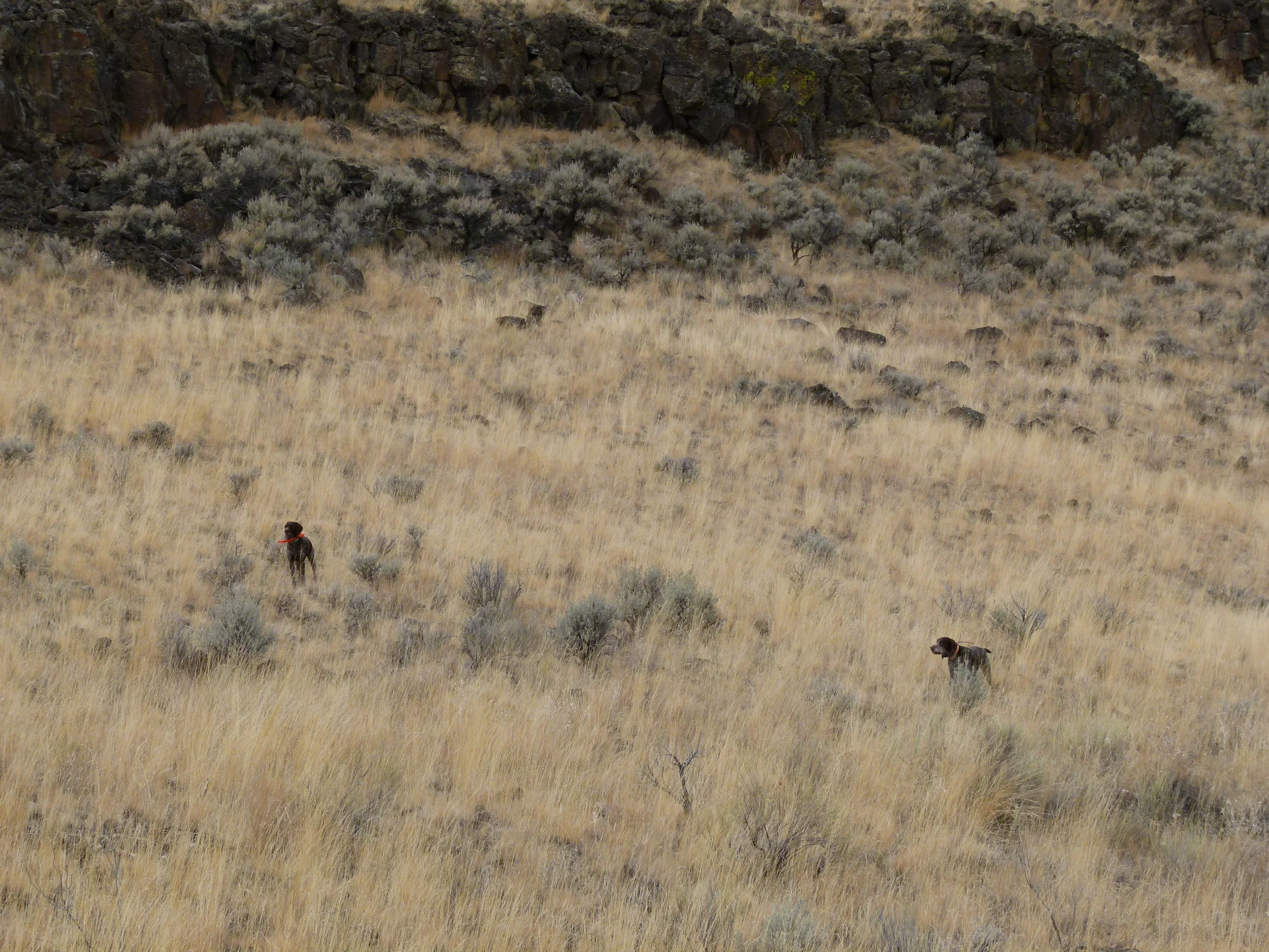 2011 Hunting Photos 057.JPG