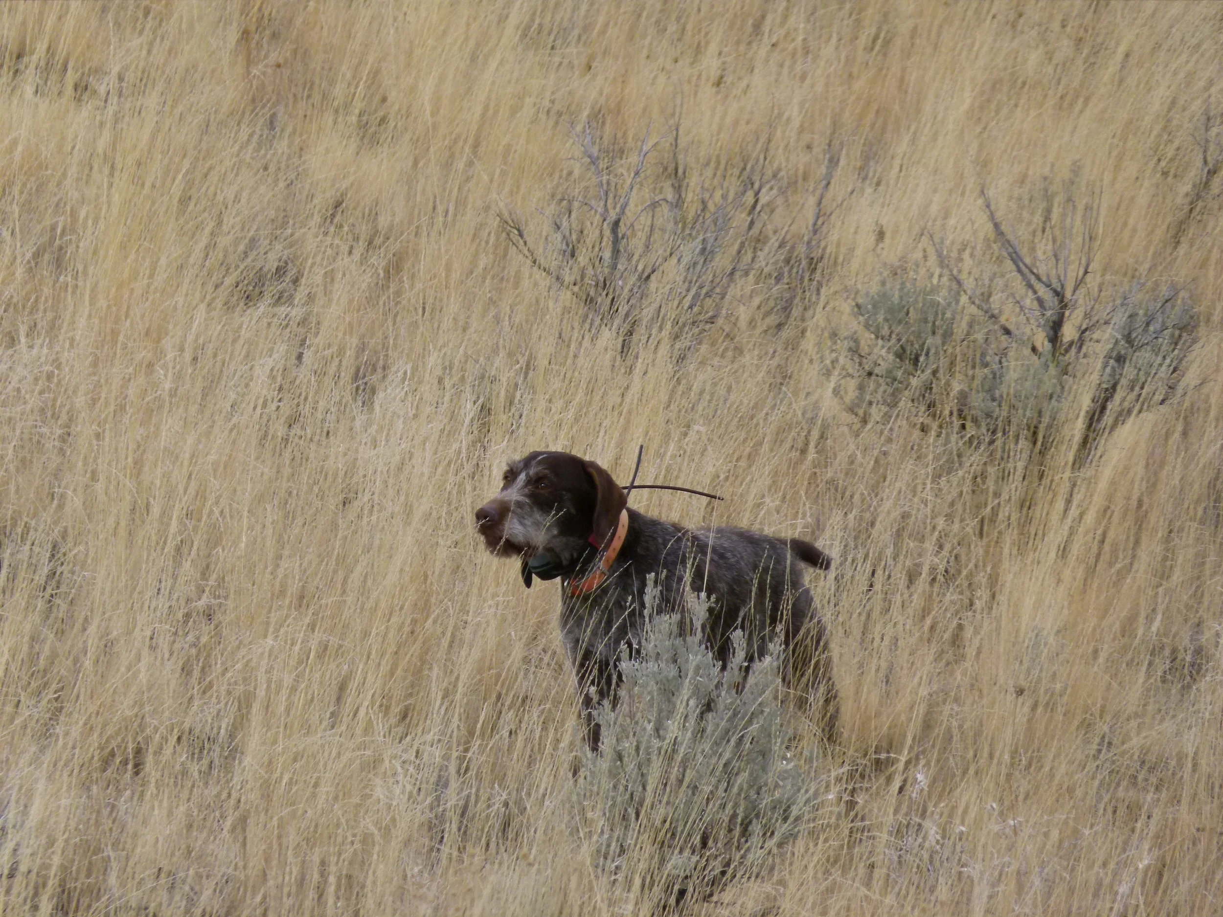 2011 Hunting Photos 059.JPG