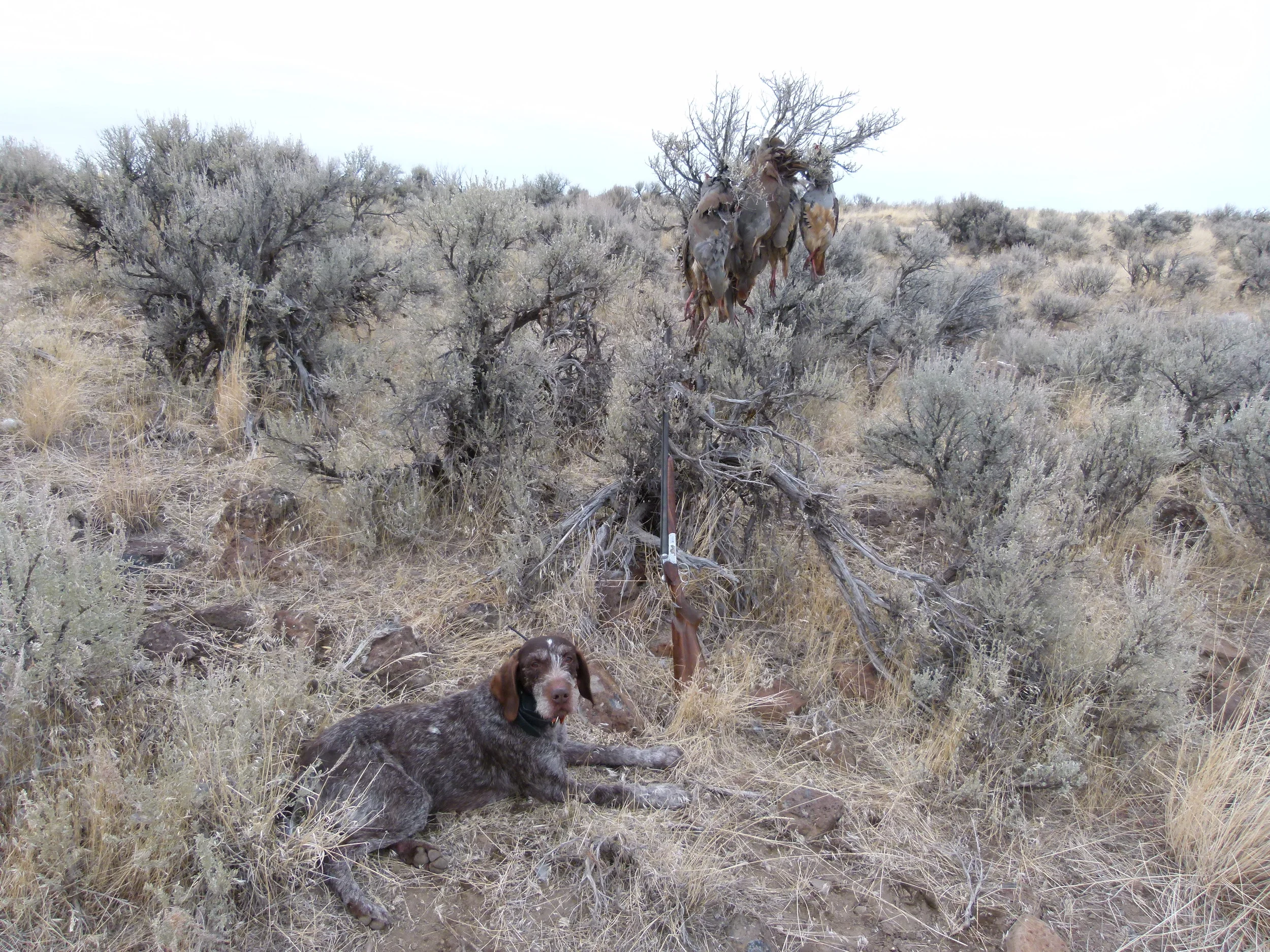 2011 Hunting Photos 061.JPG