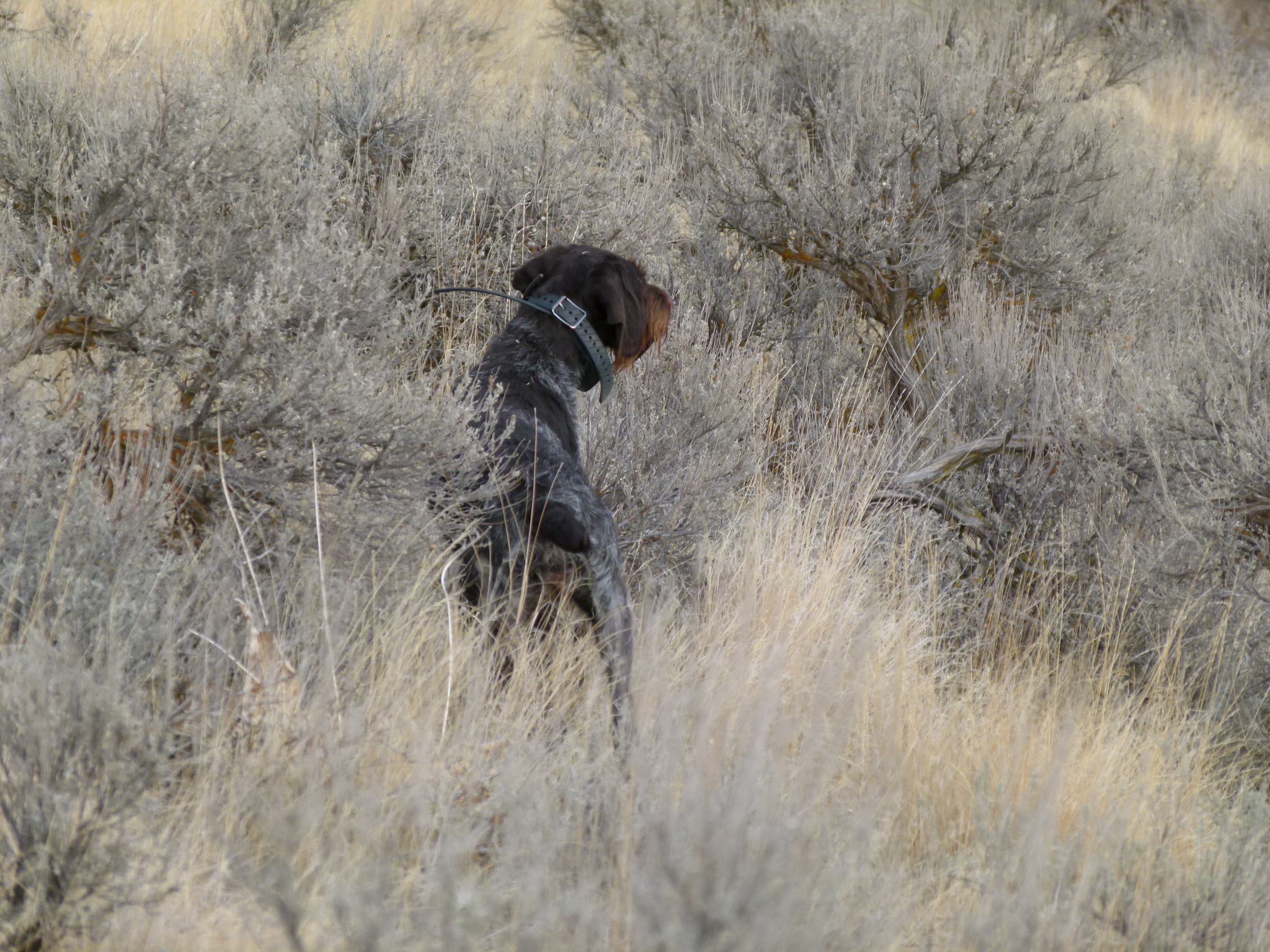 2012 Huntings 031.JPG