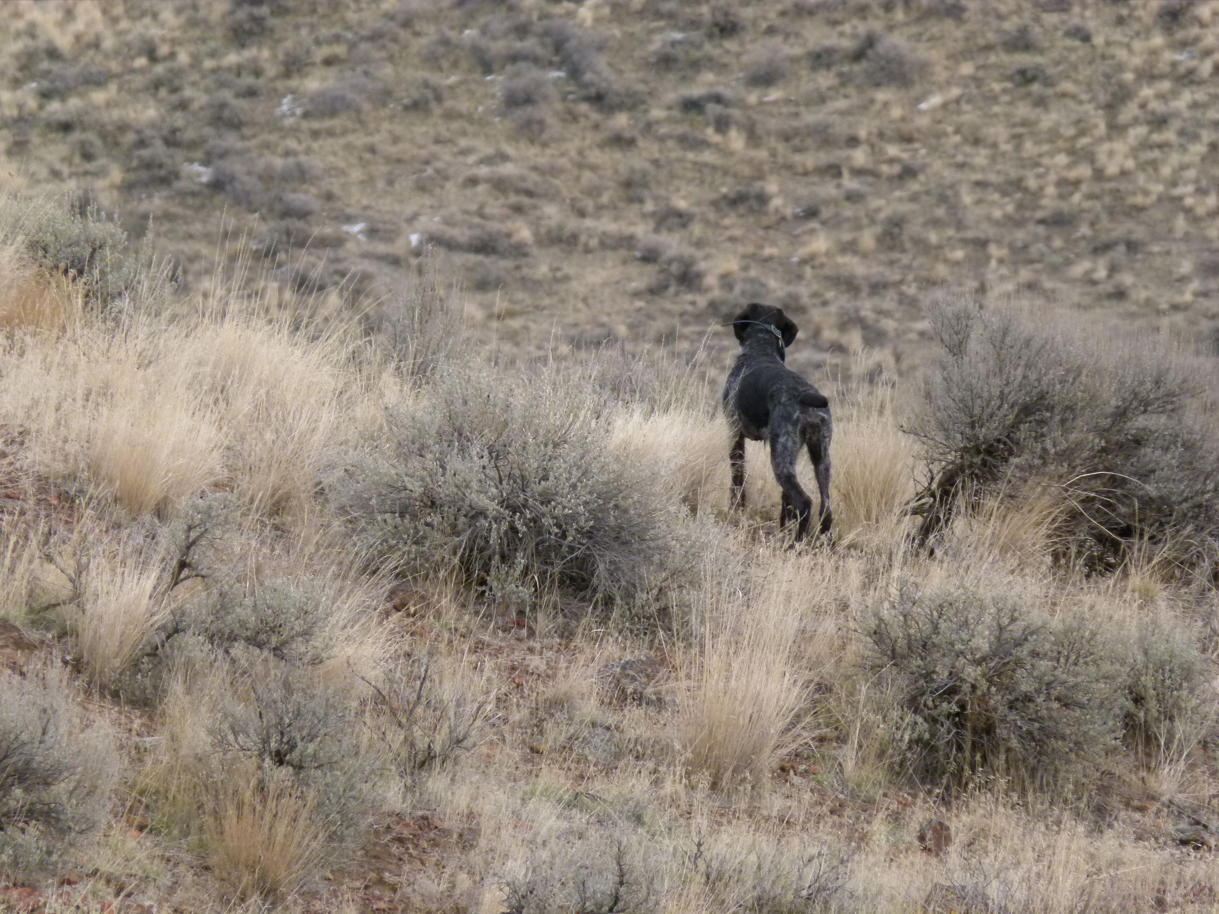 2012 Huntings 036.JPG
