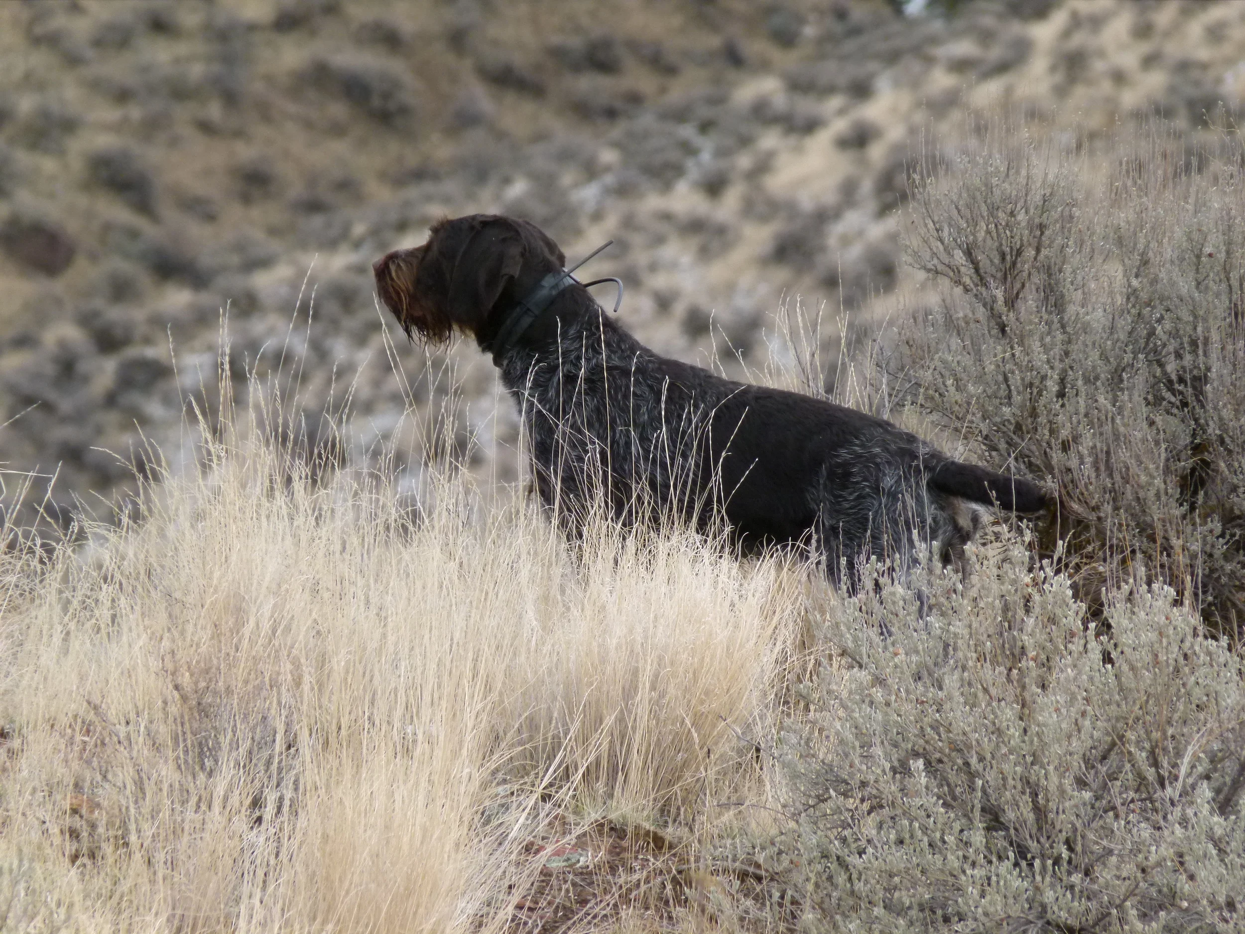 2012 Huntings 039.JPG