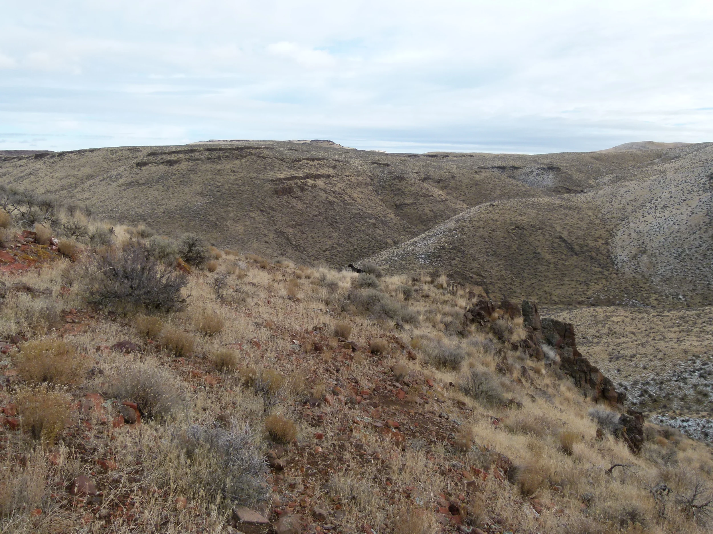 2012 Huntings 041.JPG