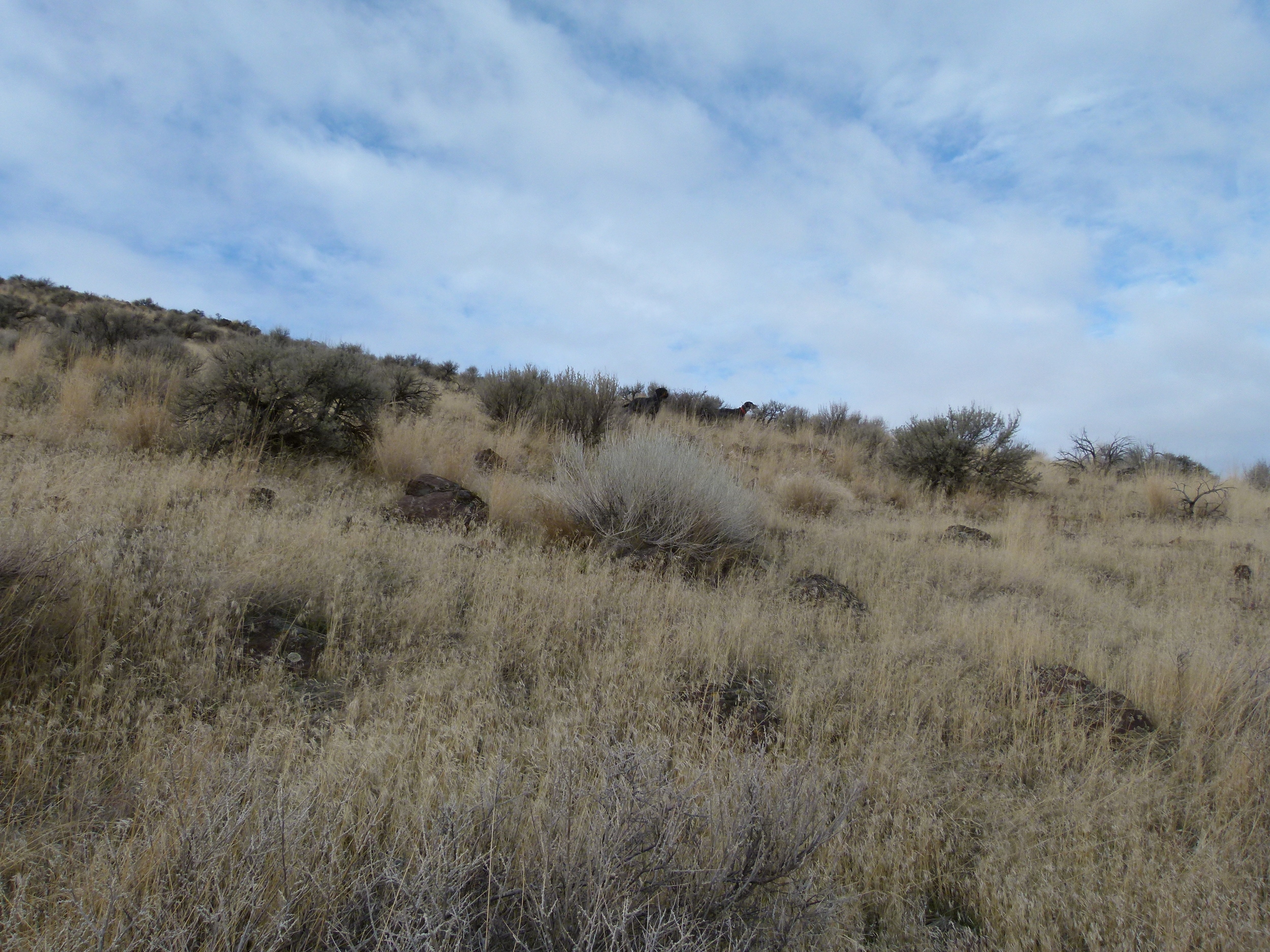 2012 Huntings 044.JPG