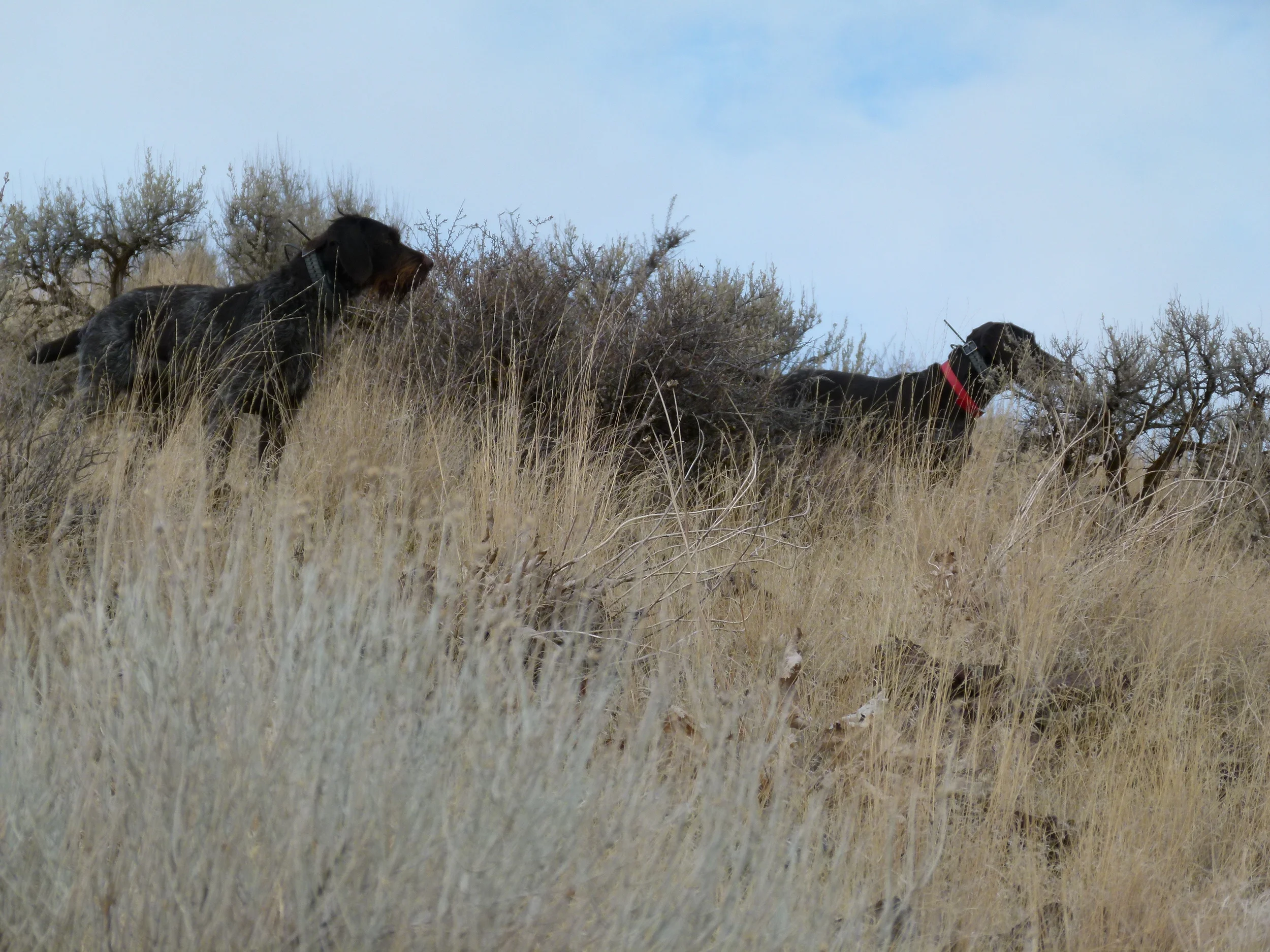 2012 Huntings 046.JPG