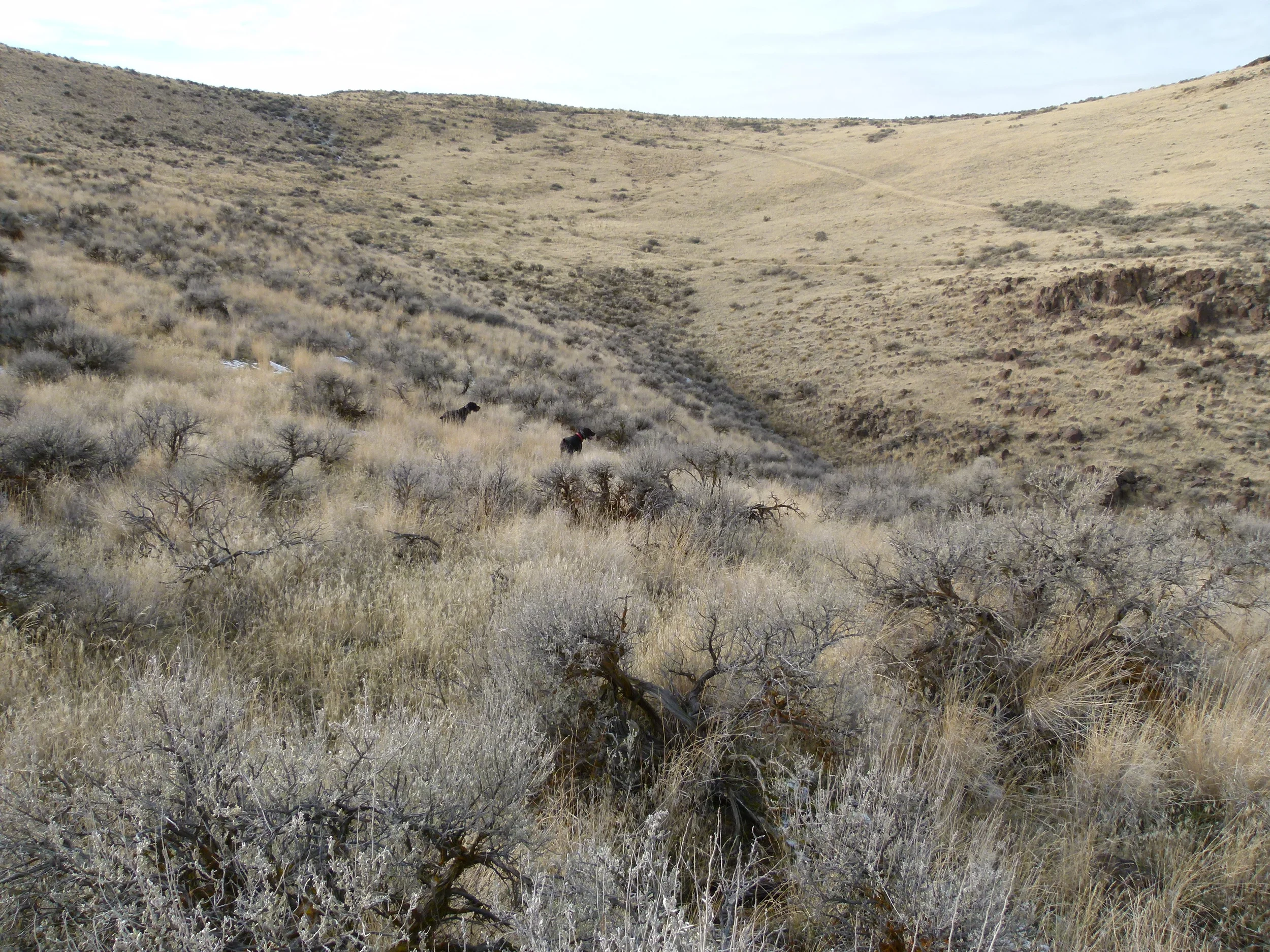 2012 Huntings 049.JPG