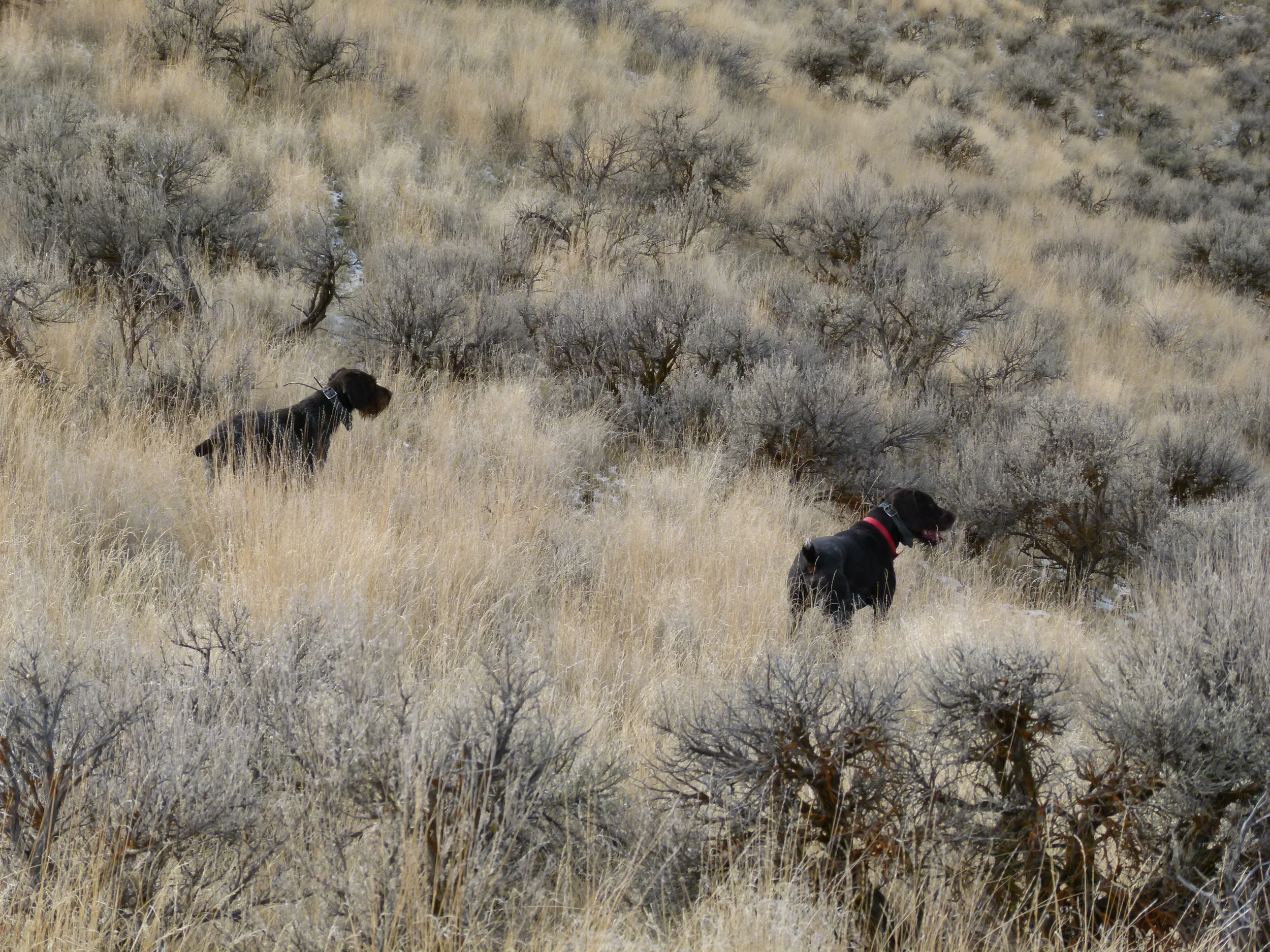 2012 Huntings 052.JPG