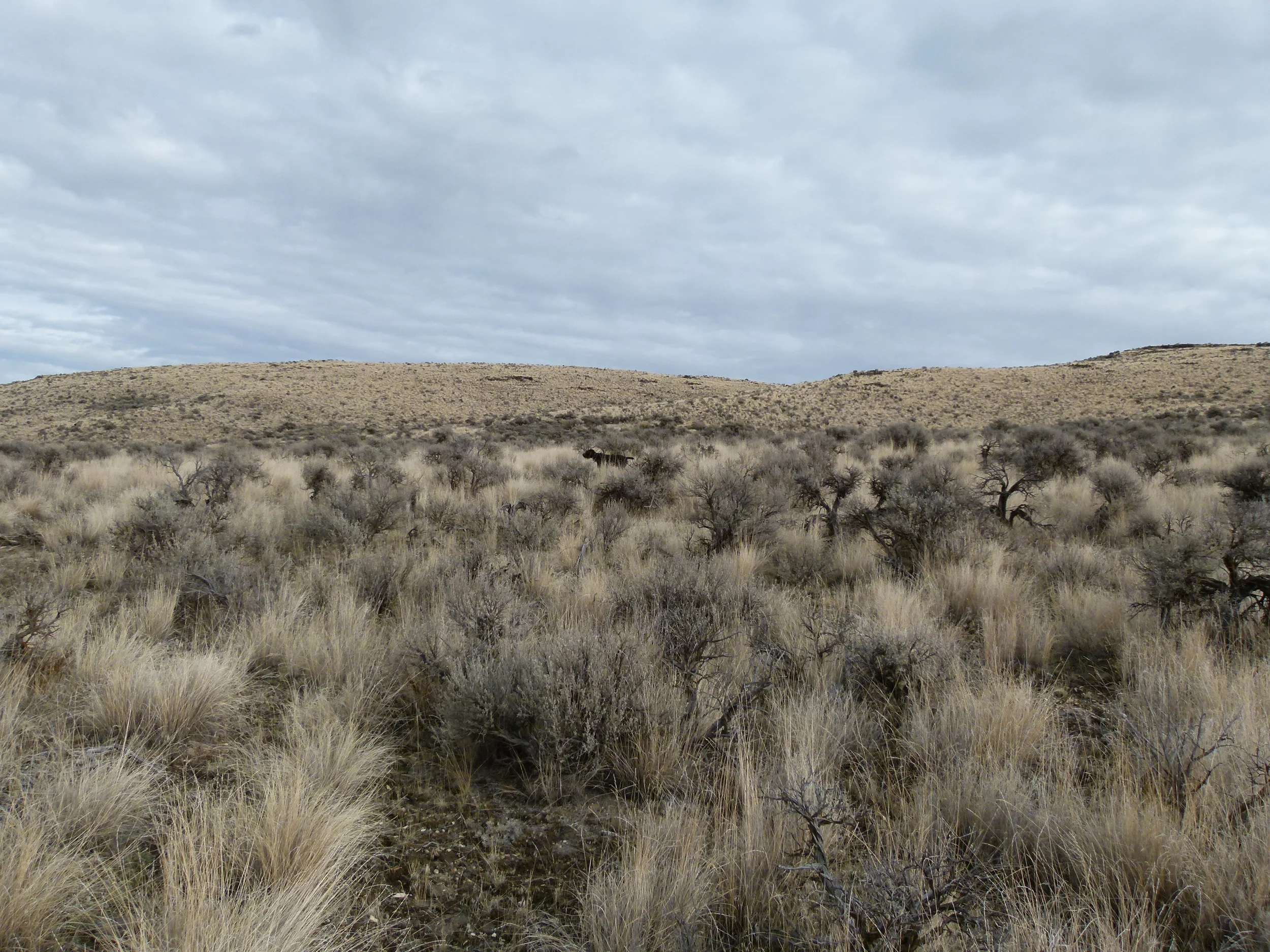 2012 Huntings 058.JPG