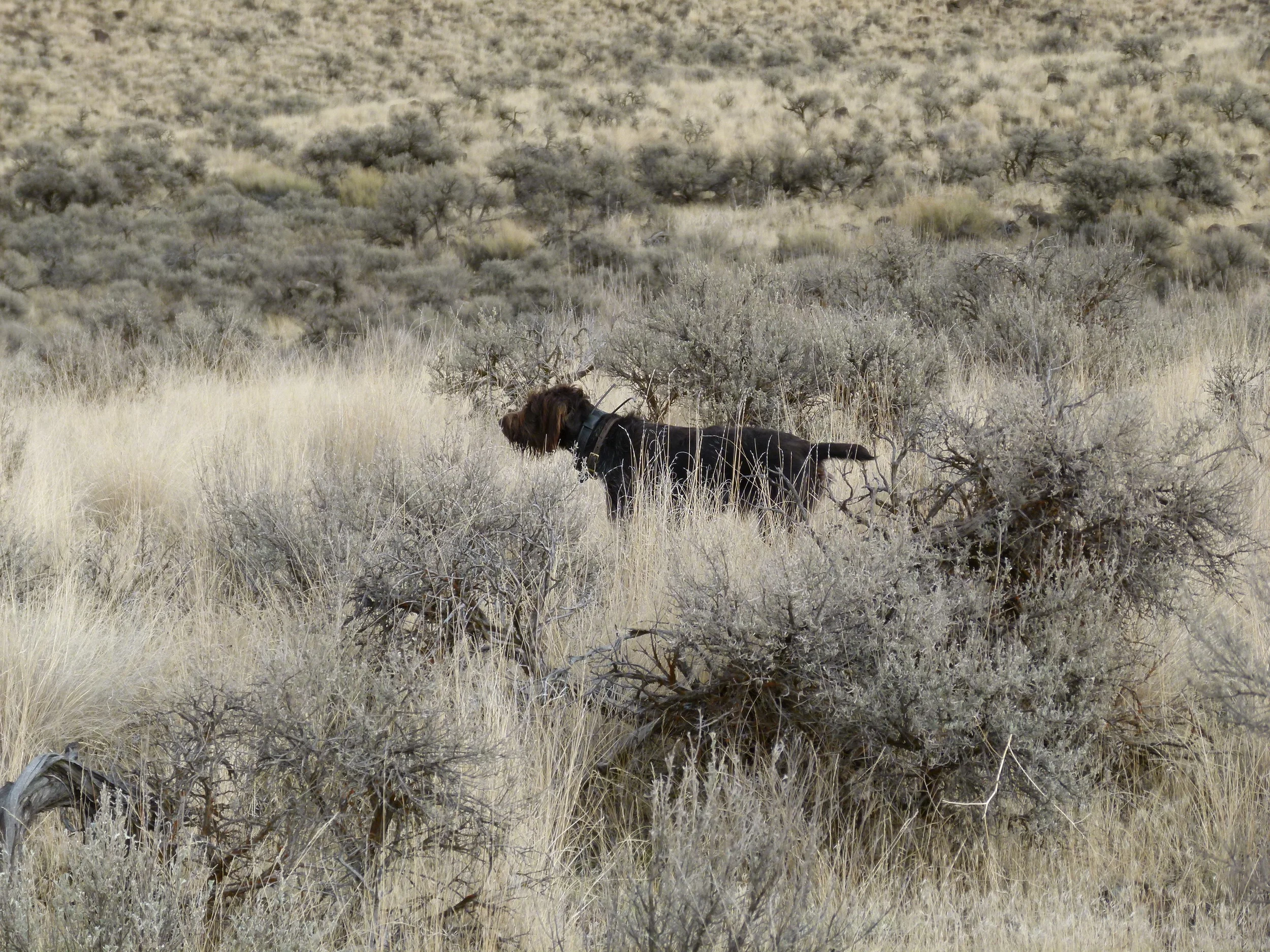 2012 Huntings 059.JPG