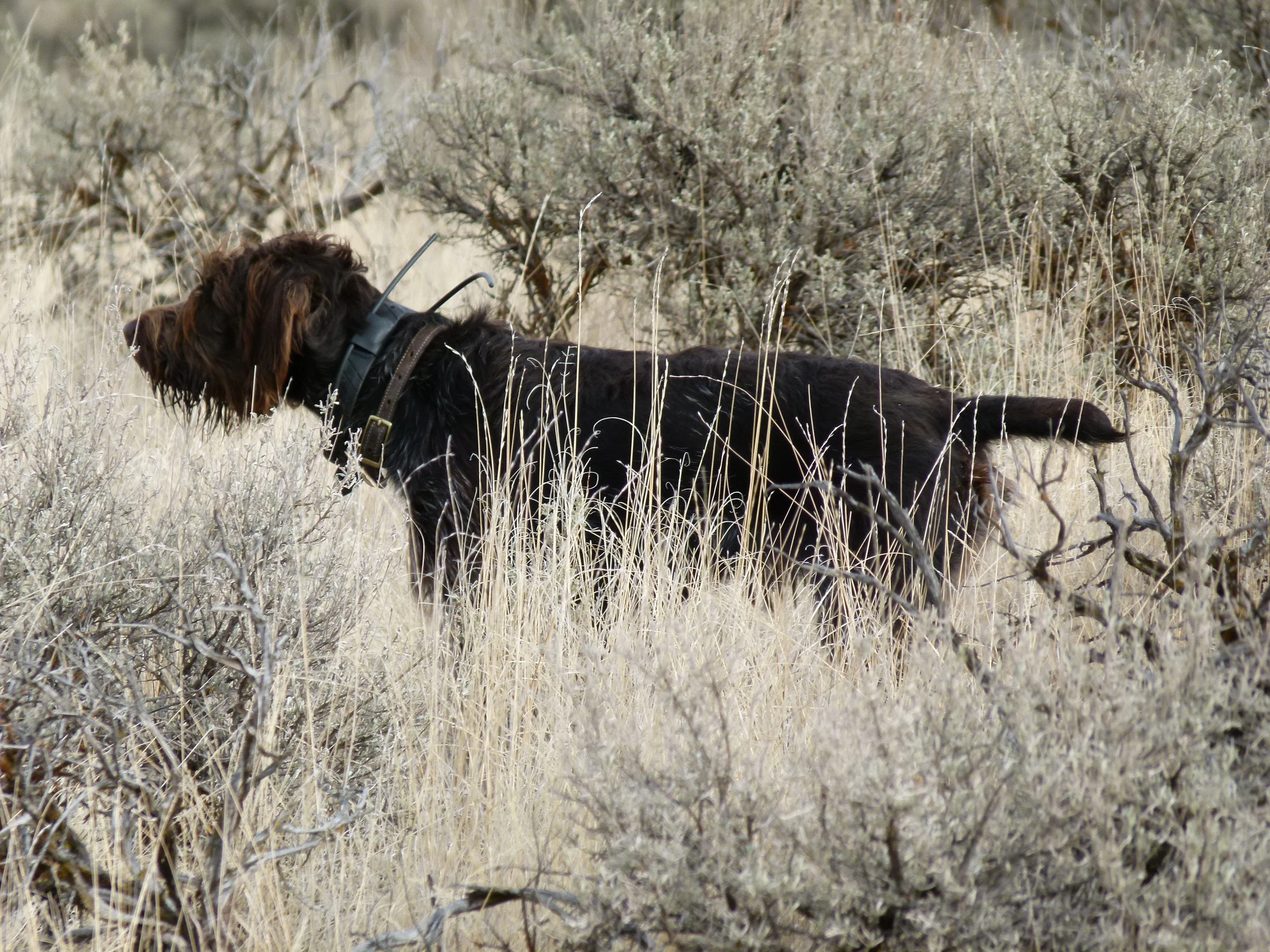 2012 Huntings 060.JPG