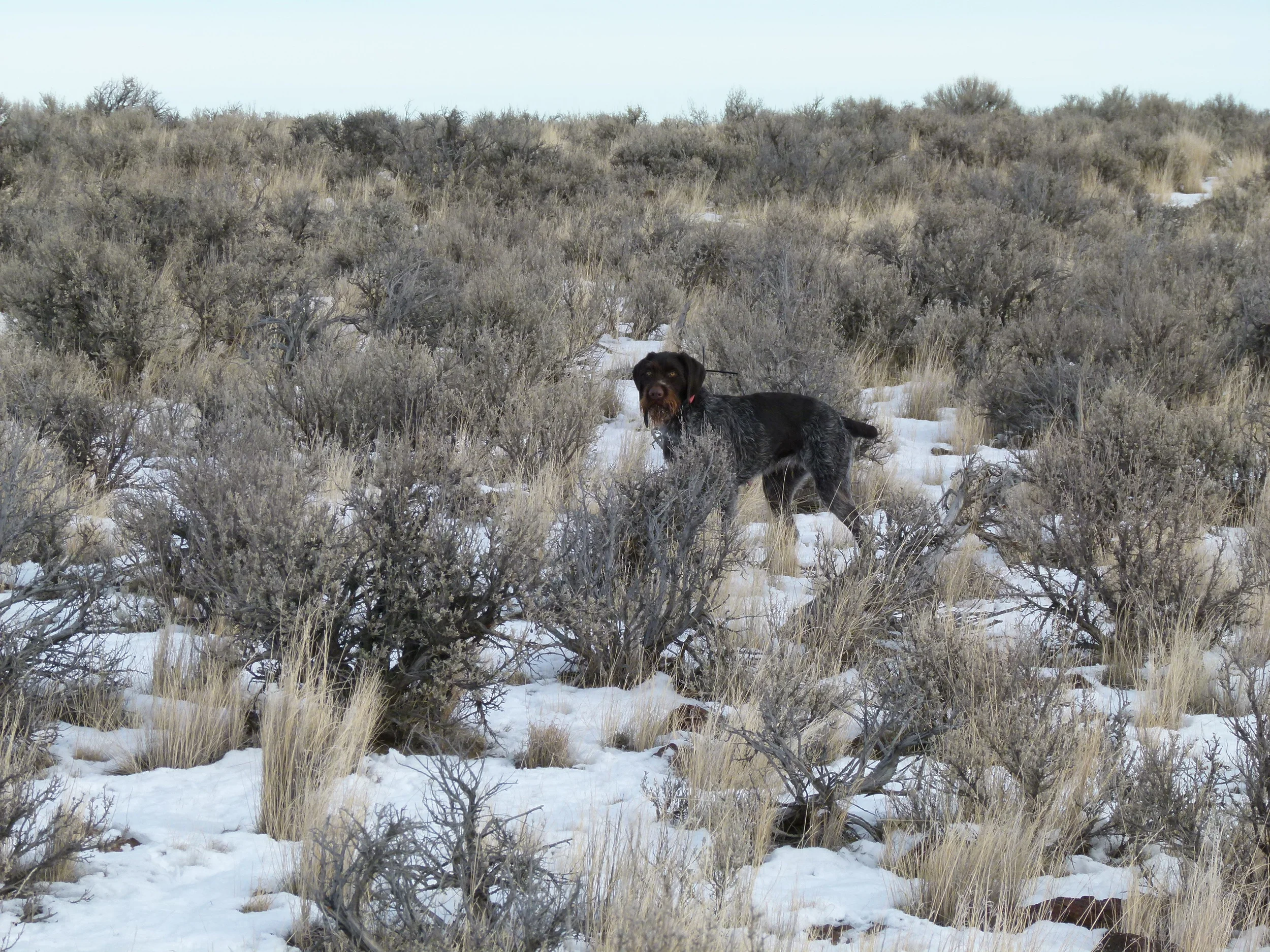 2012 Huntings 066.JPG
