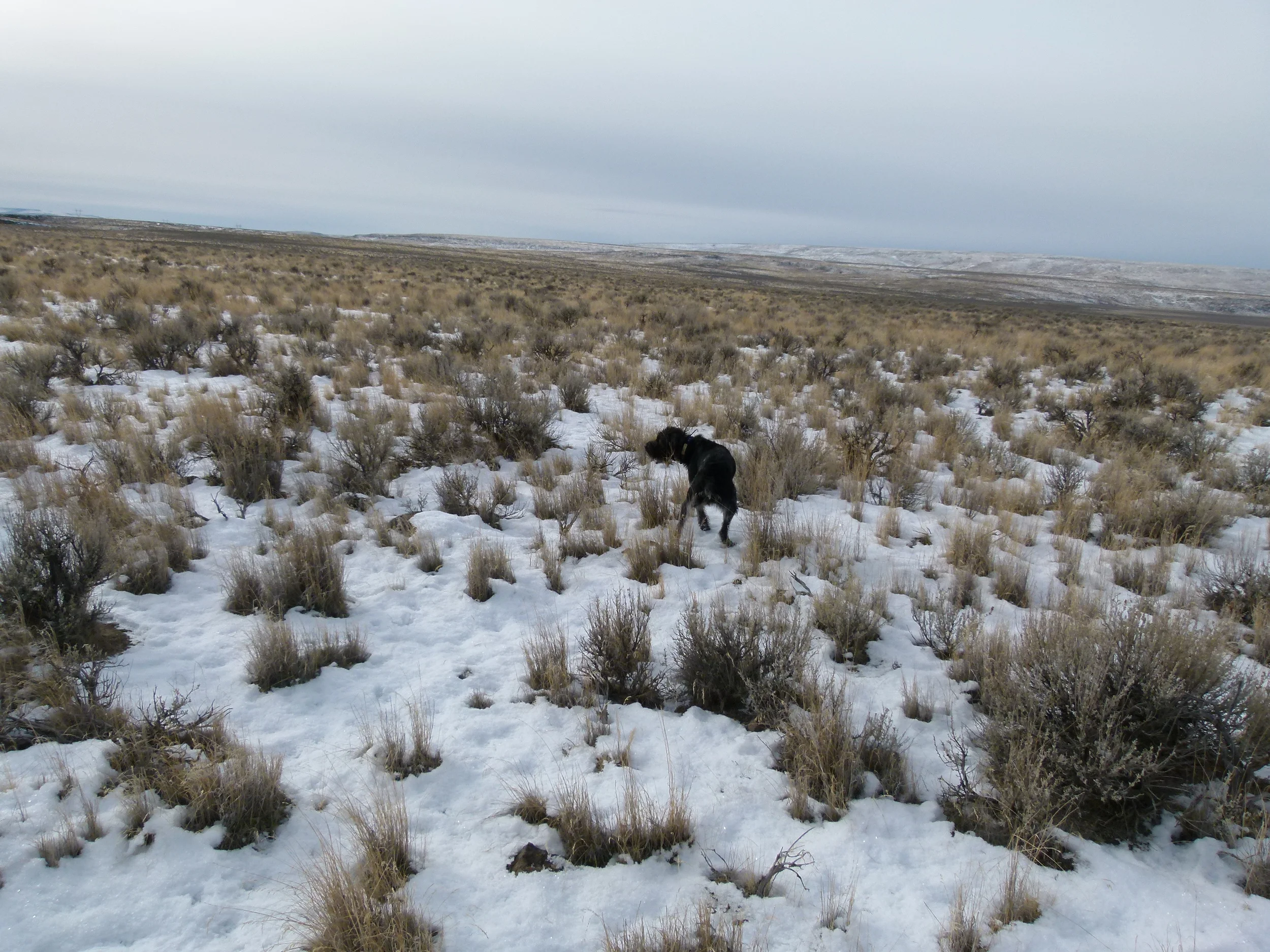 2012 Huntings 067.JPG