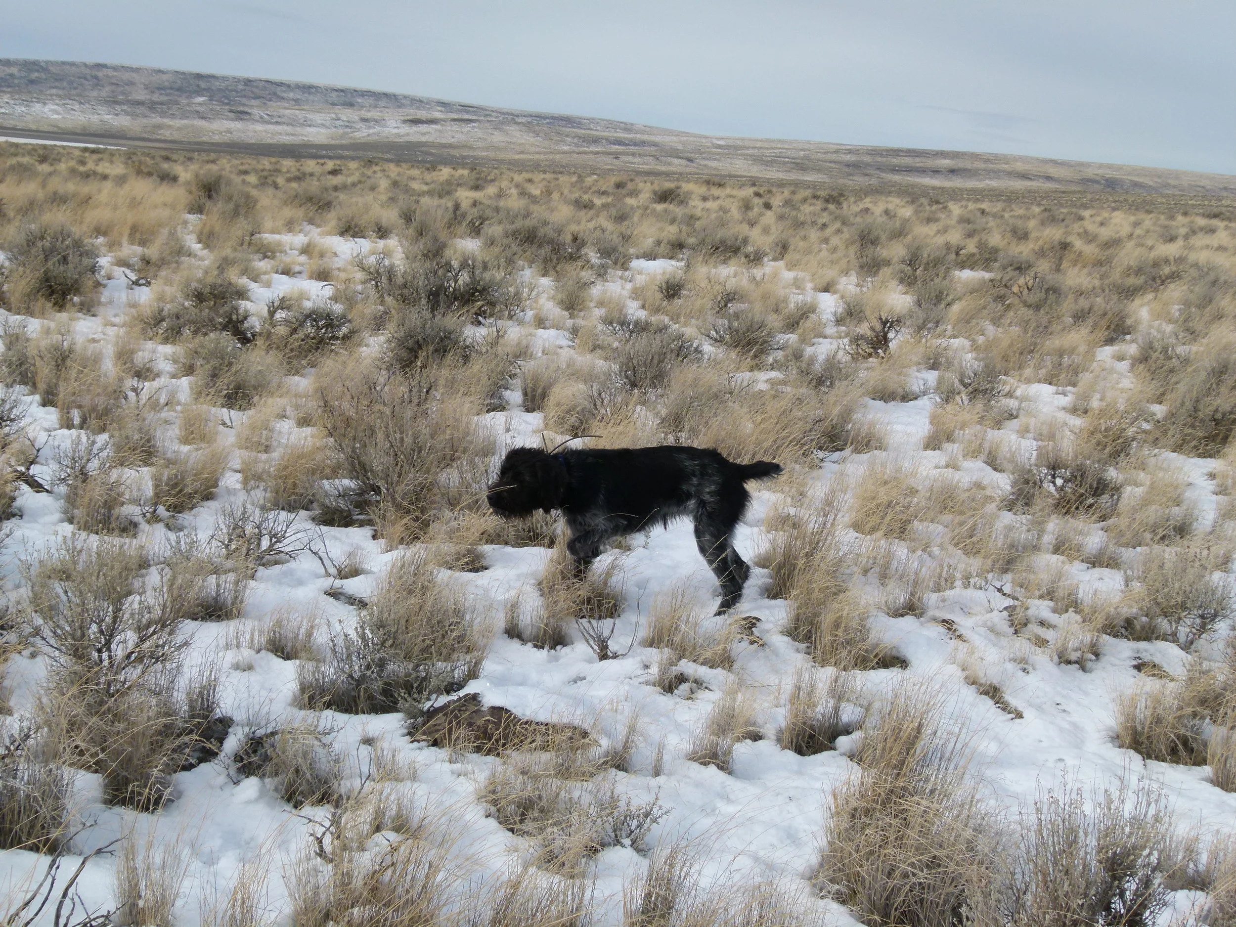 2012 Huntings 073.JPG