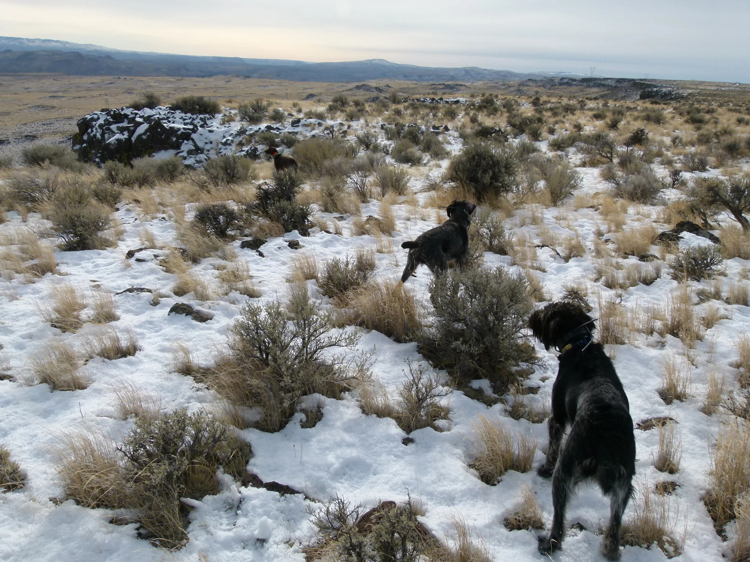 2012 Huntings 075.JPG