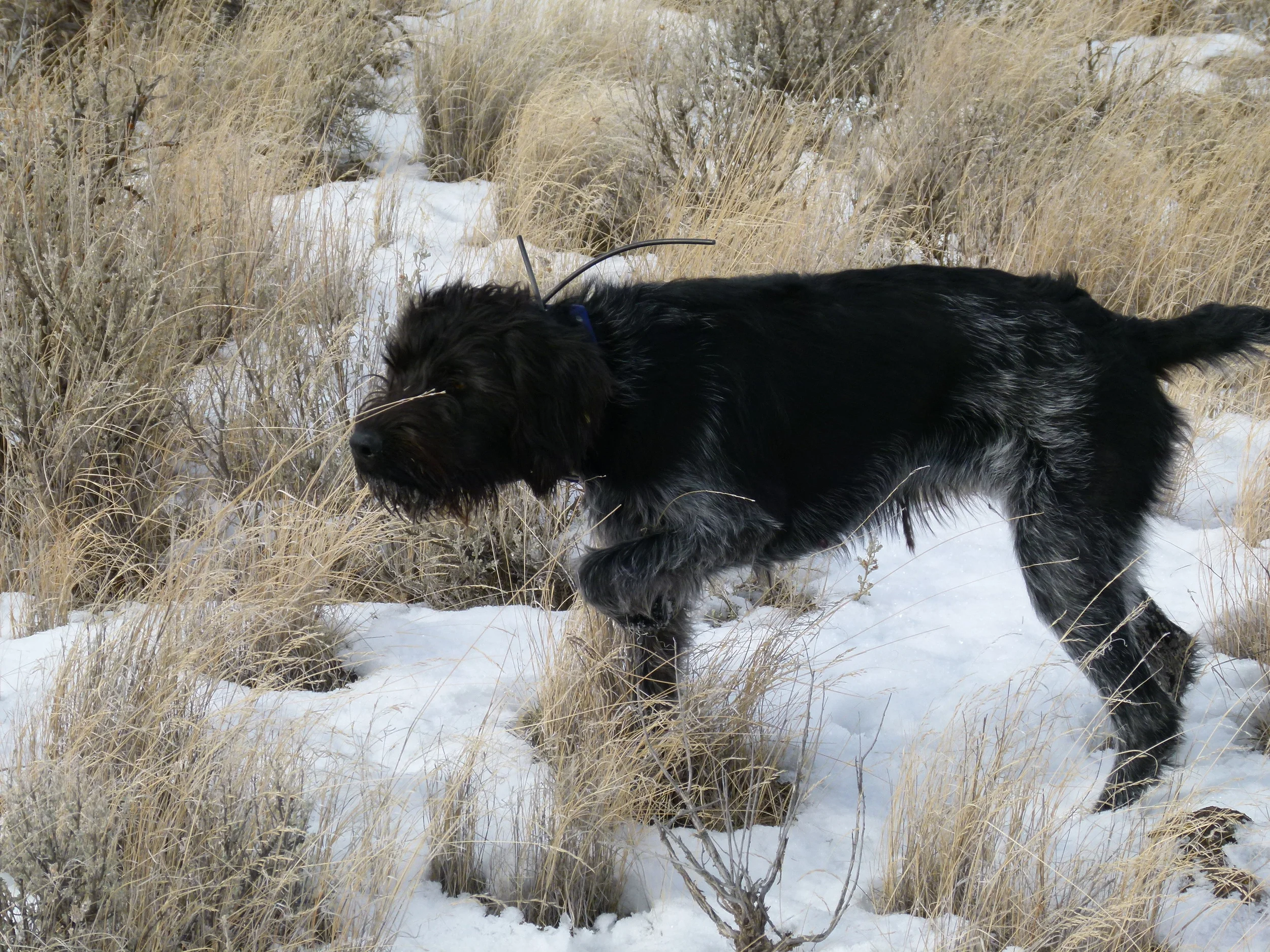 2012 Huntings 074.JPG