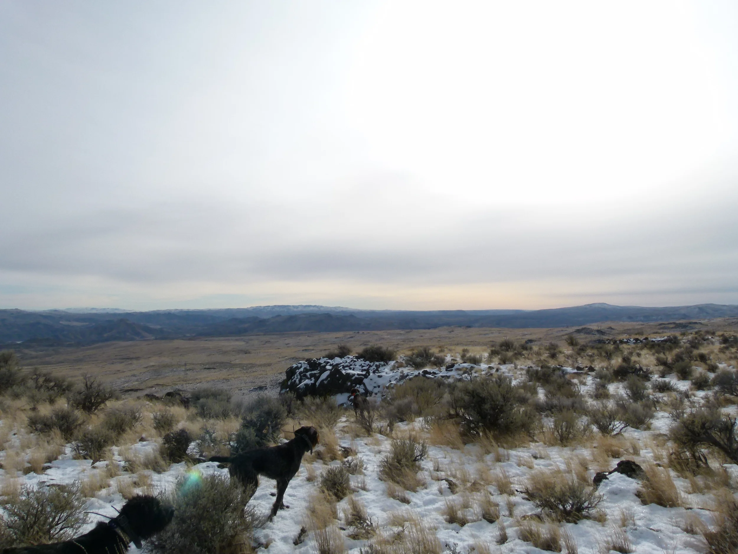 2012 Huntings 077.JPG