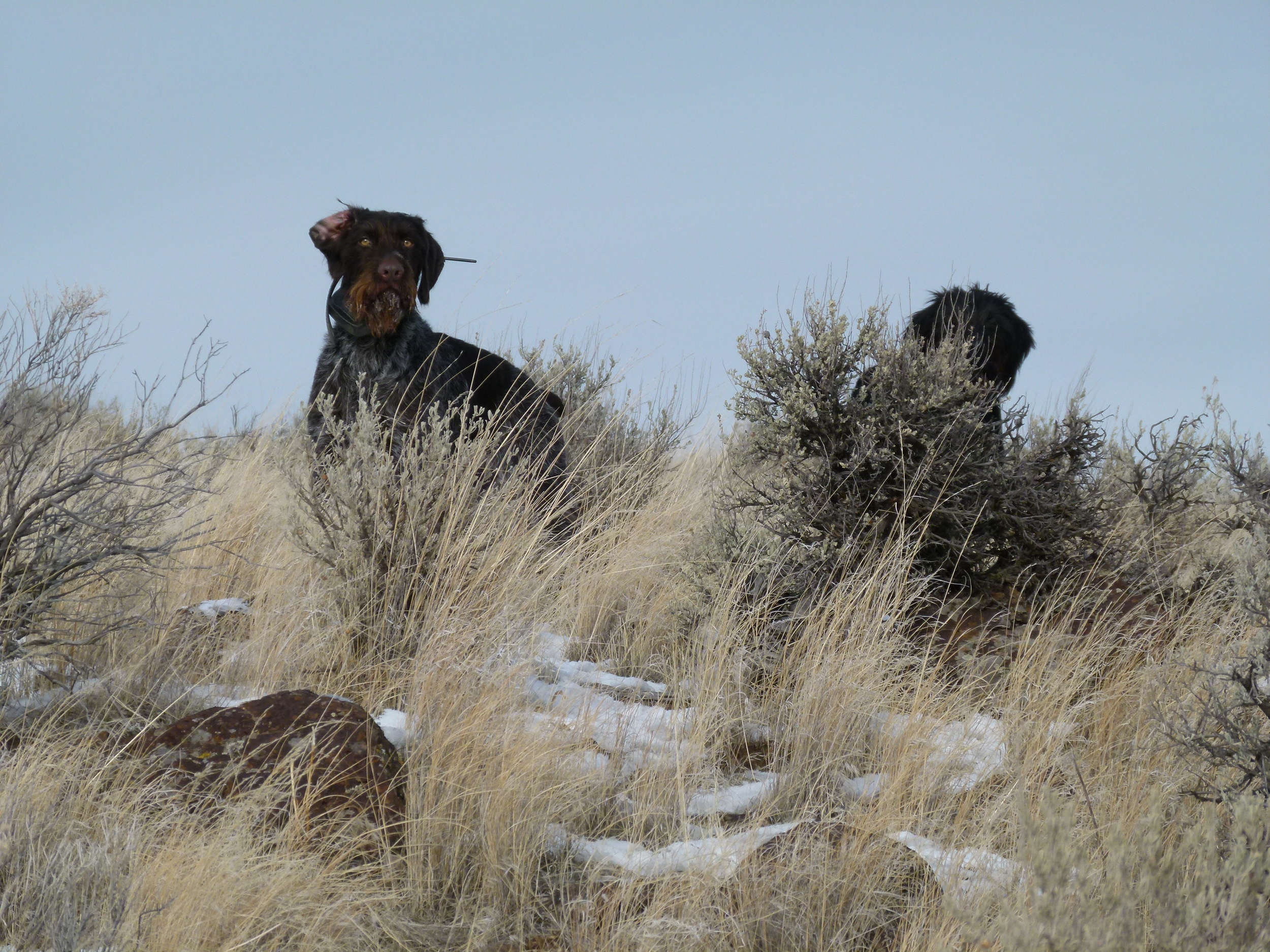 2012 Huntings 083.JPG