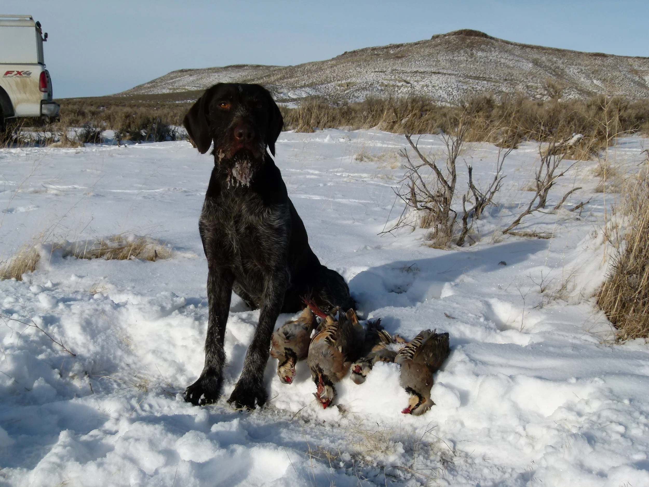 2012 Huntings 116.JPG