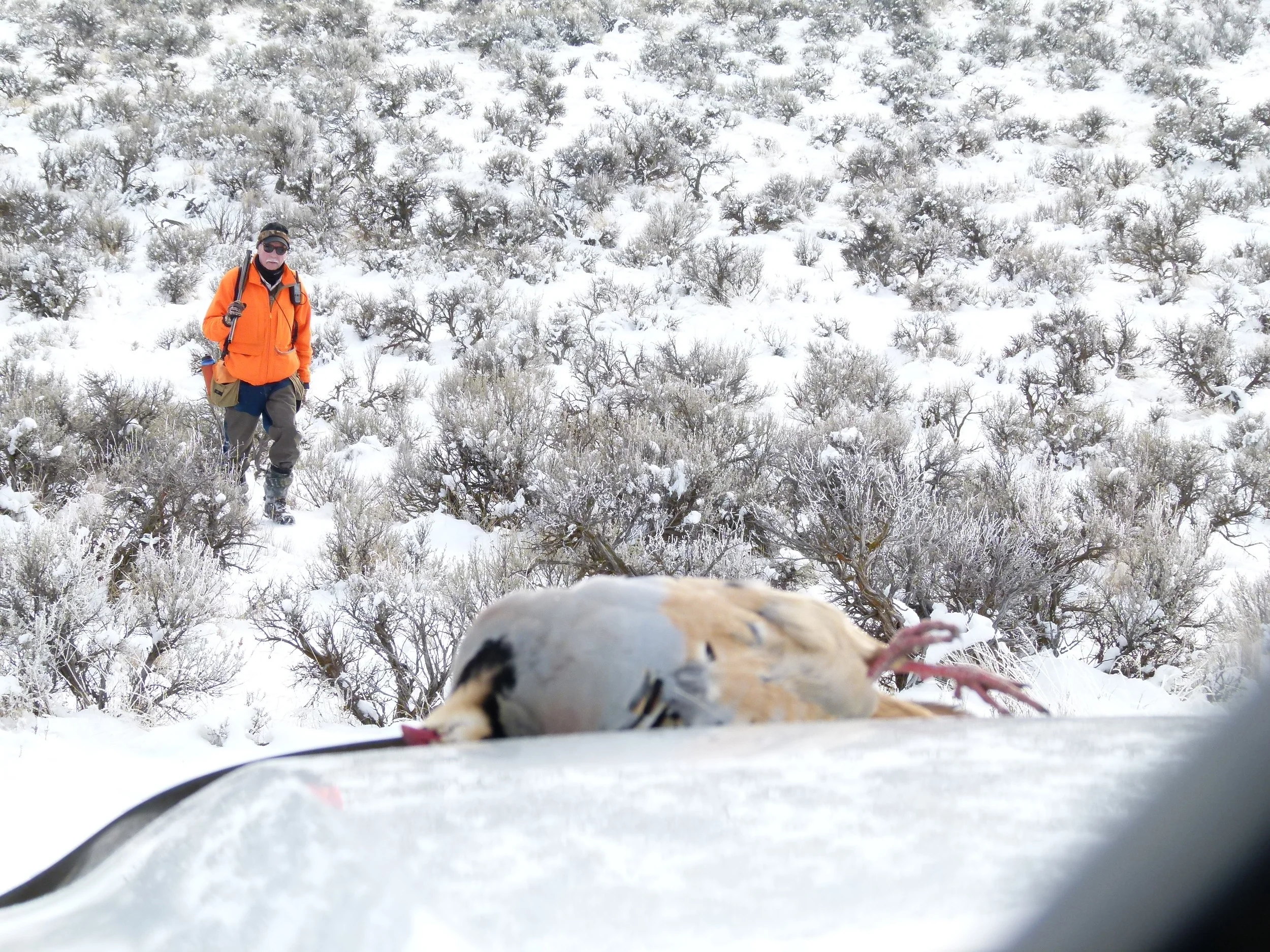 2012 Huntings 128.JPG
