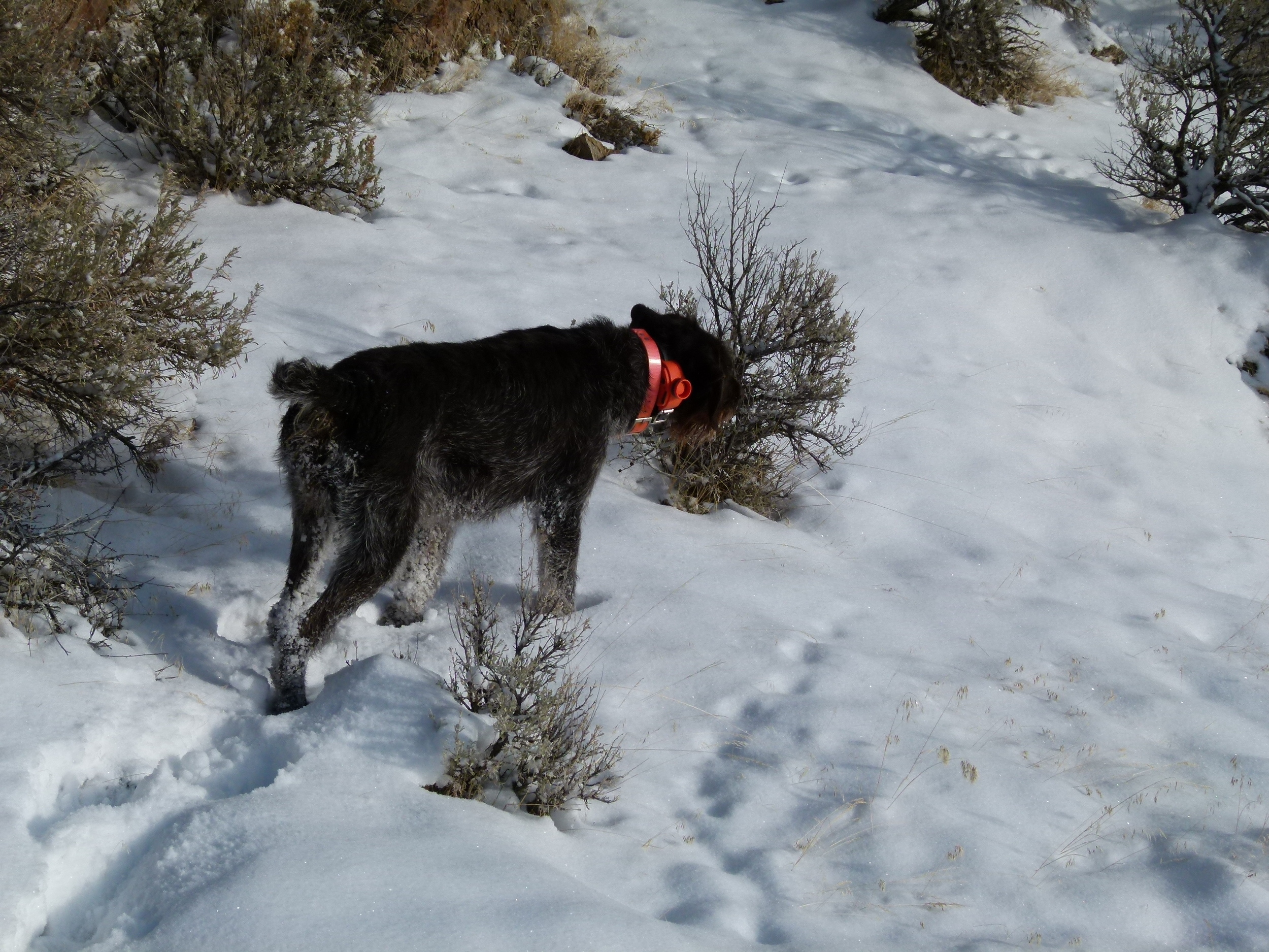 2012 Huntings 135.JPG