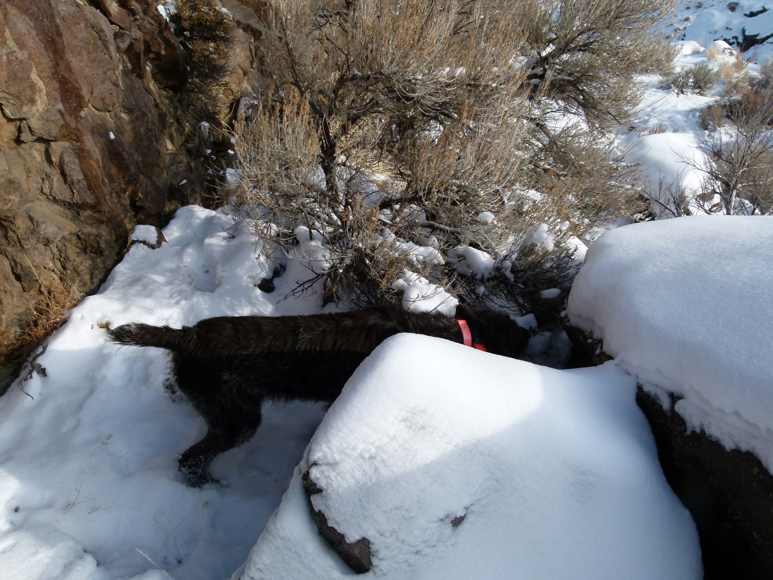2012 Huntings 137.JPG