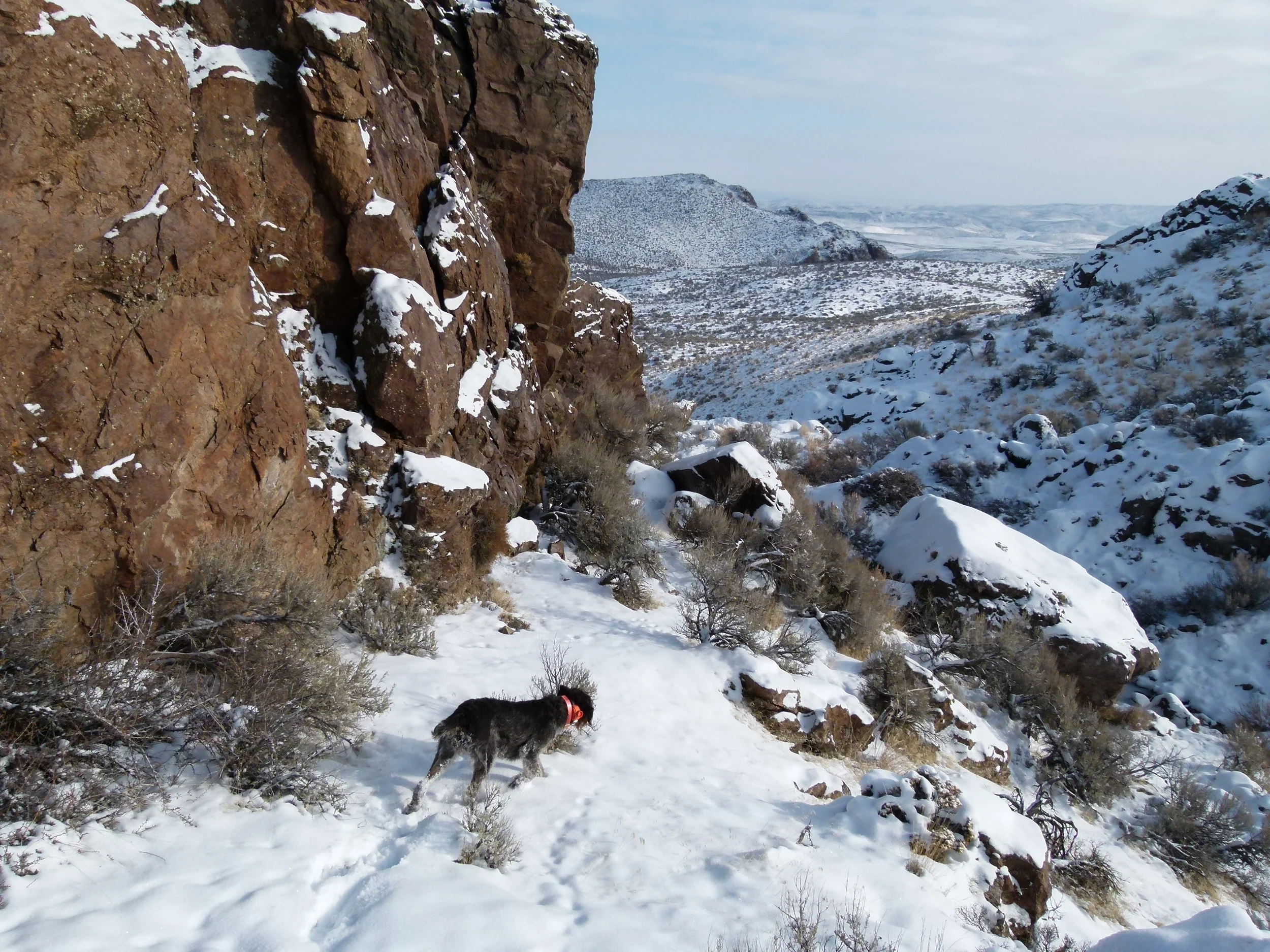 2012 Huntings 136.JPG