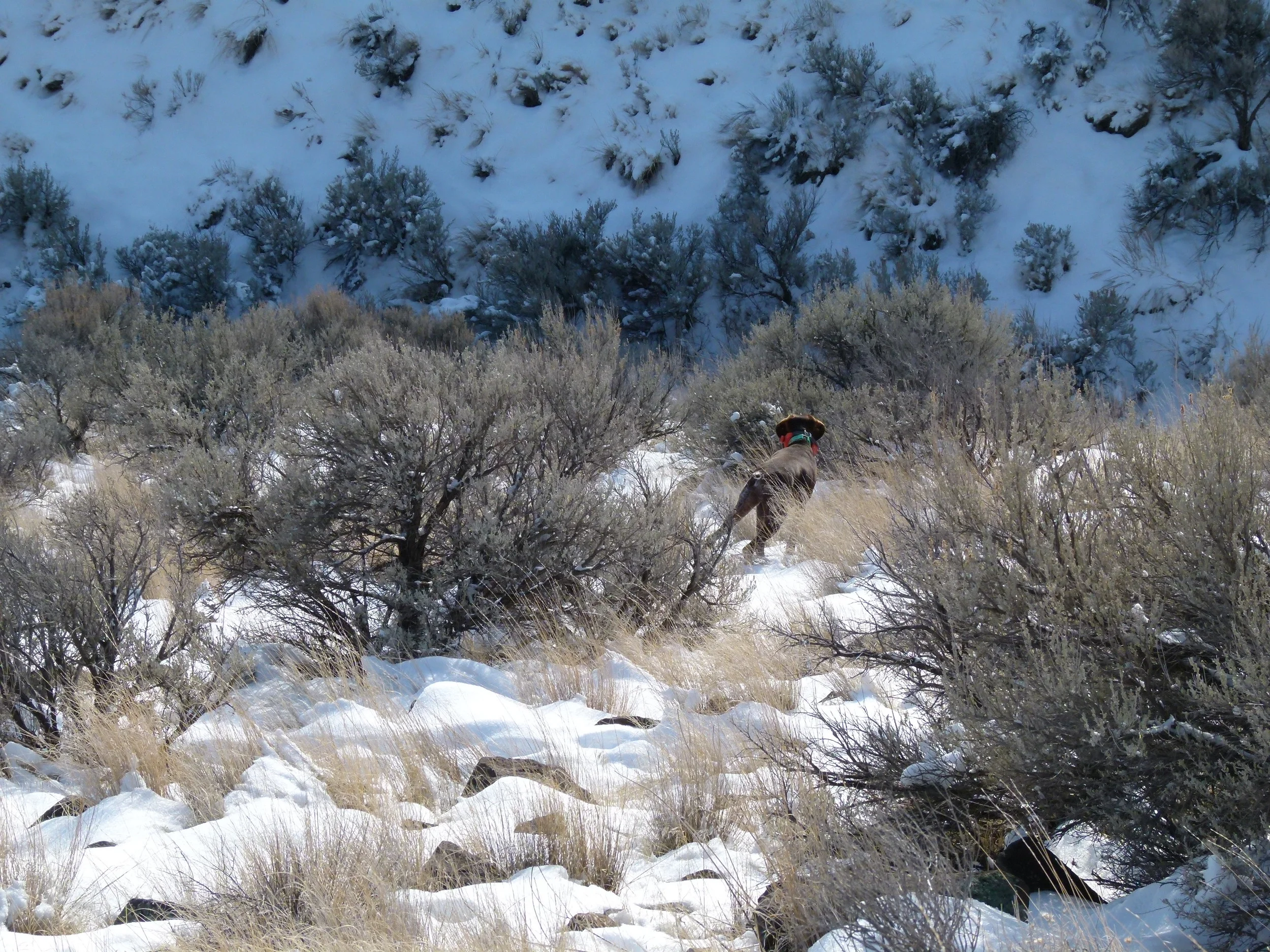 2012 Huntings 143.JPG