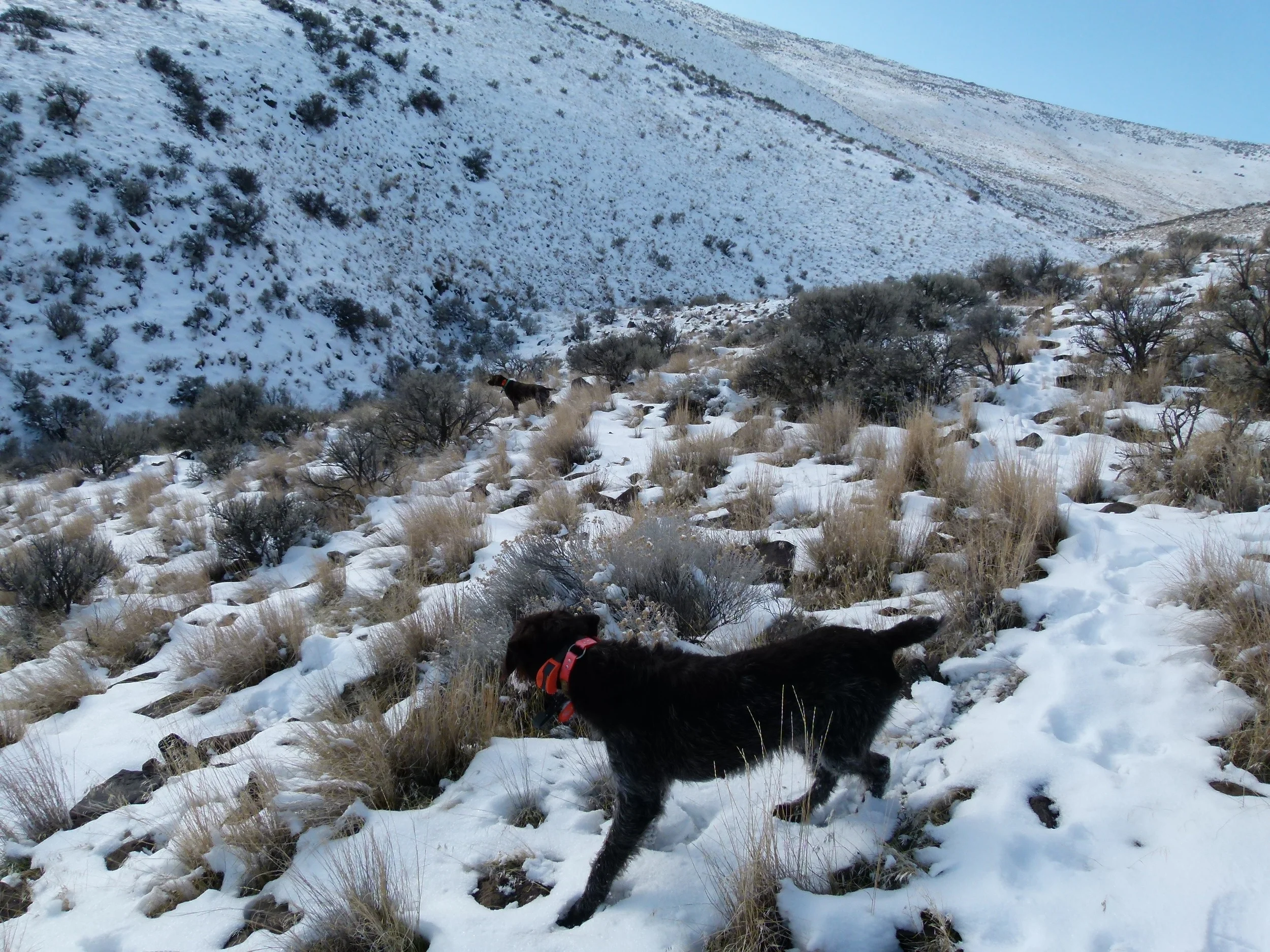 2012 Huntings 149.JPG