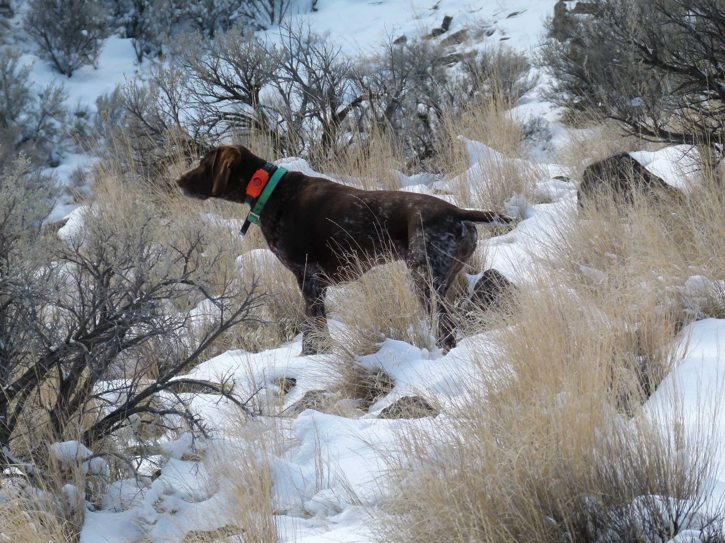 2012 Huntings 150.JPG