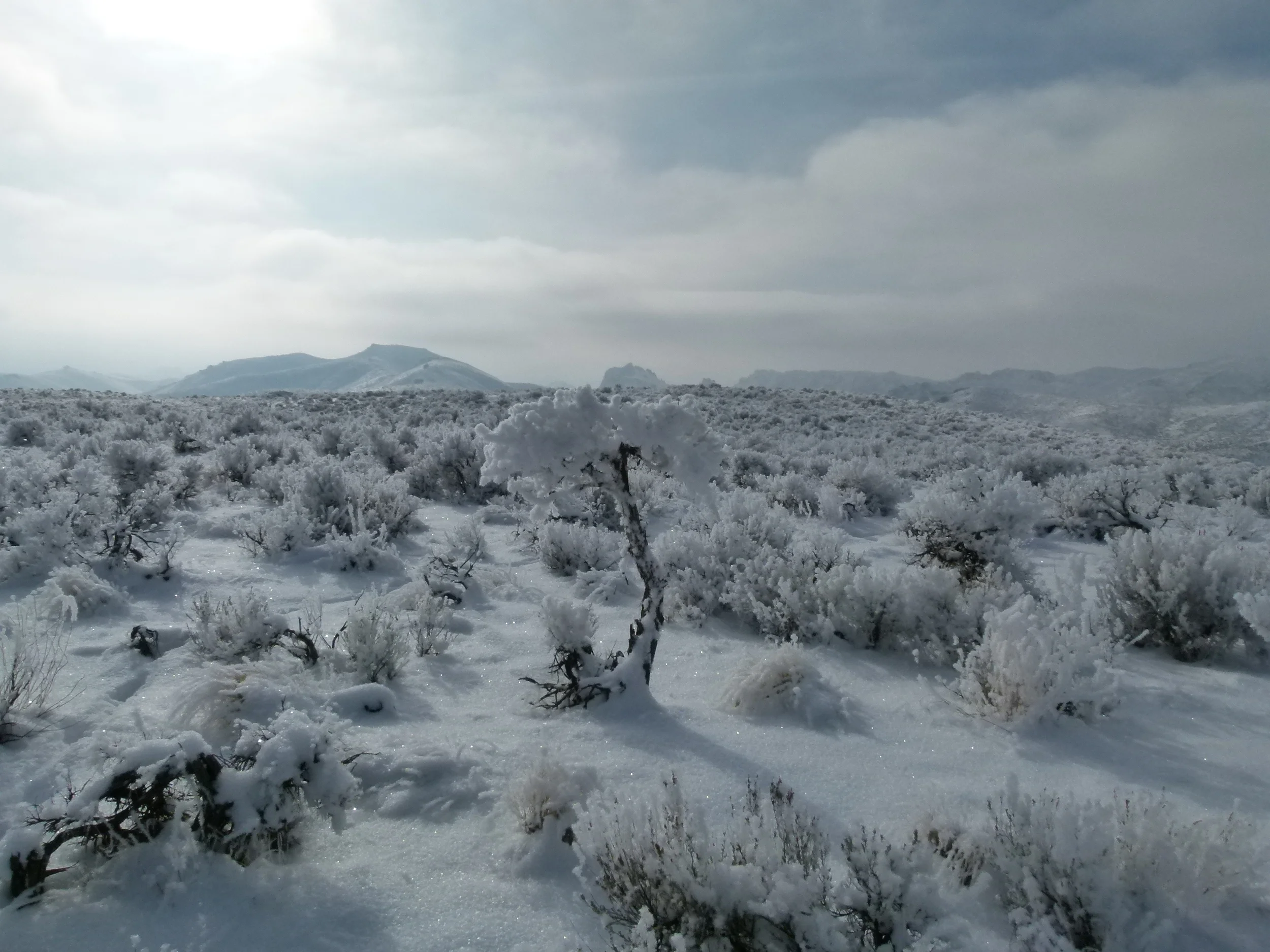 2012 Huntings 166.JPG