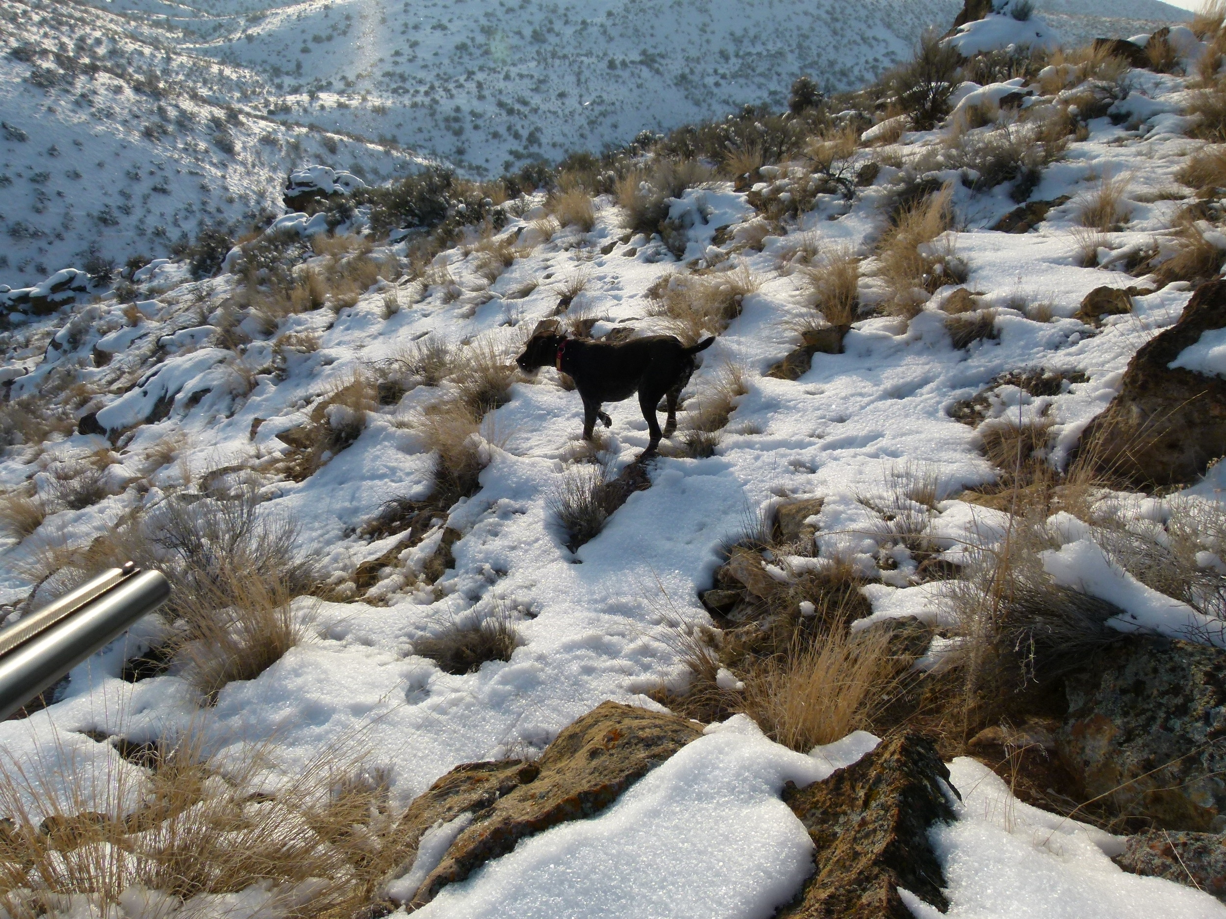 2012 Huntings 176.JPG