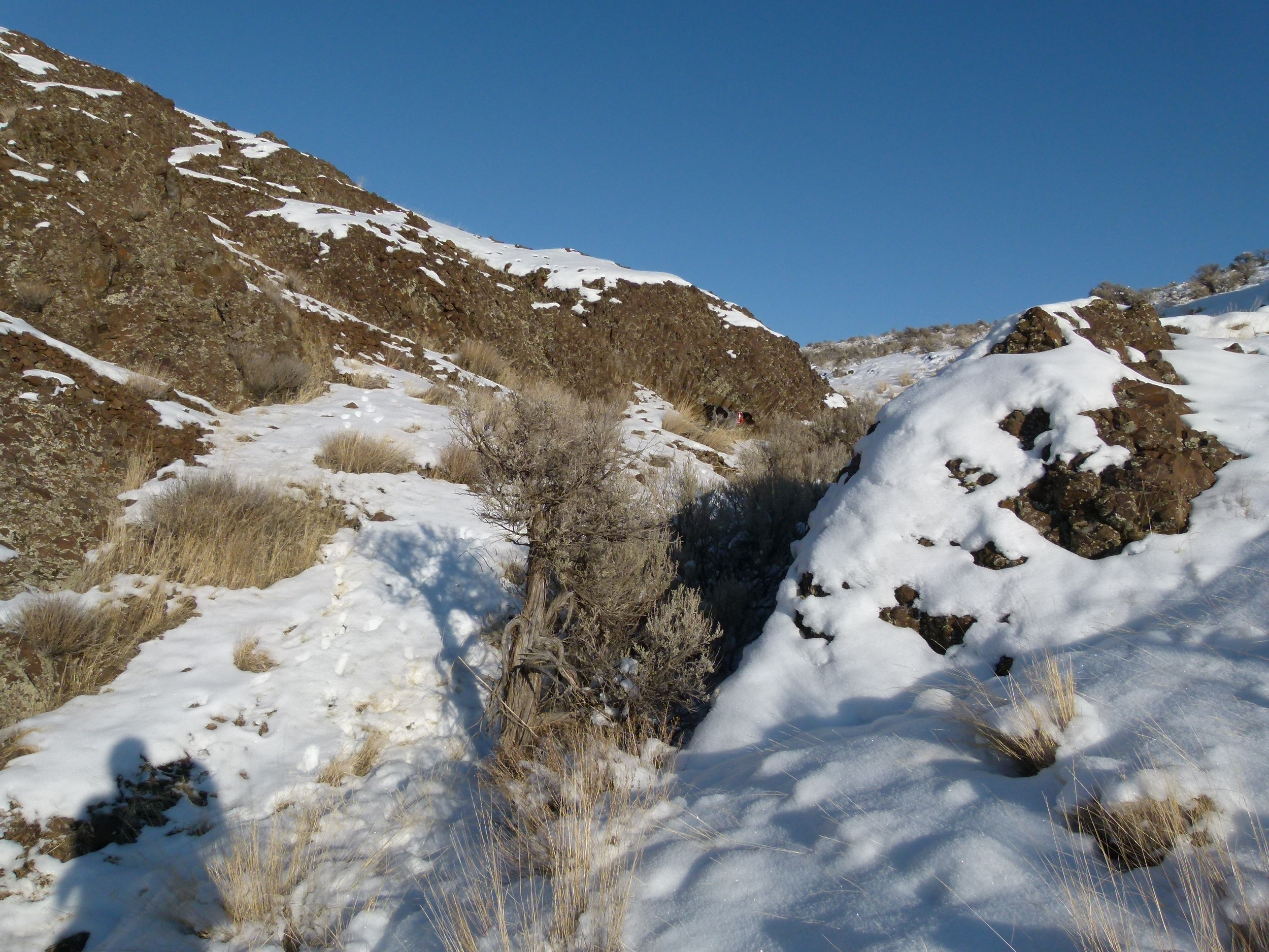 2012 Huntings 188.JPG