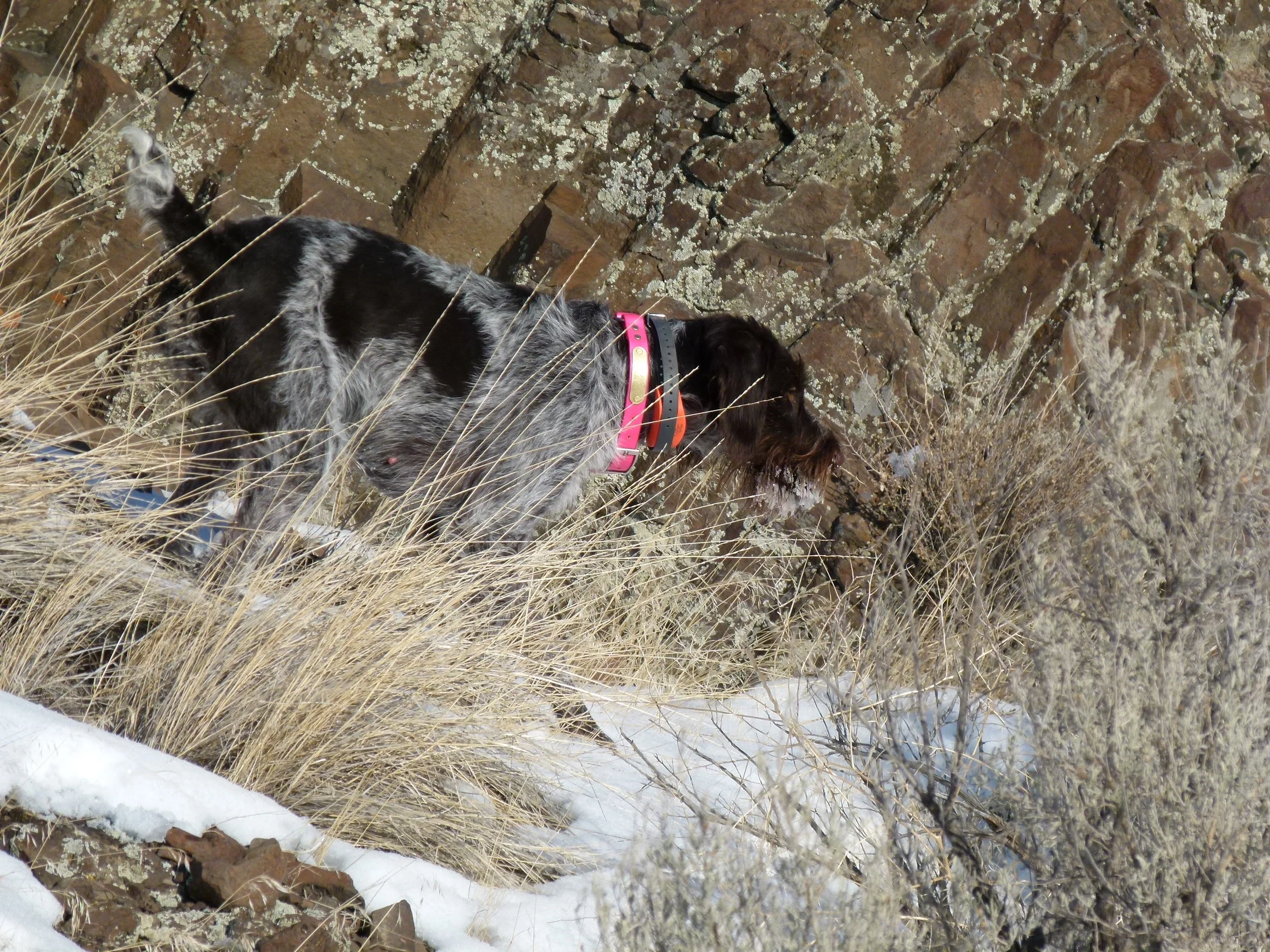 2012 Huntings 190.JPG