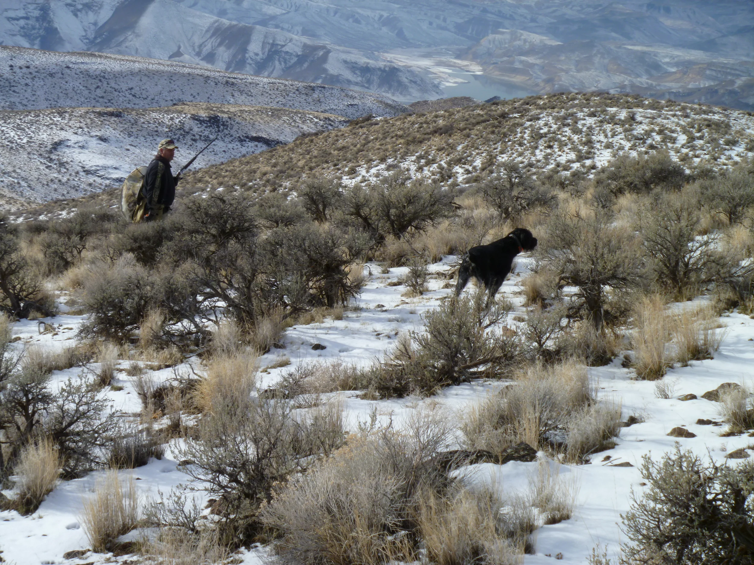chukar hunt 12-21-13 011.JPG